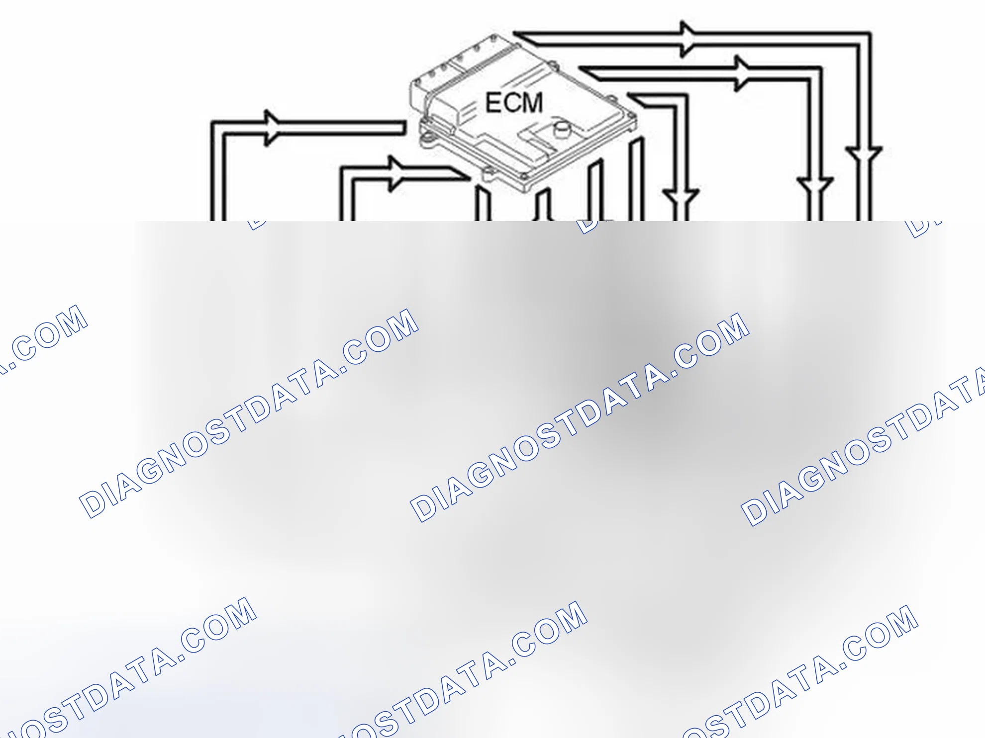 Scheme 239: CAMSHAFT CONTROL (CVVT)