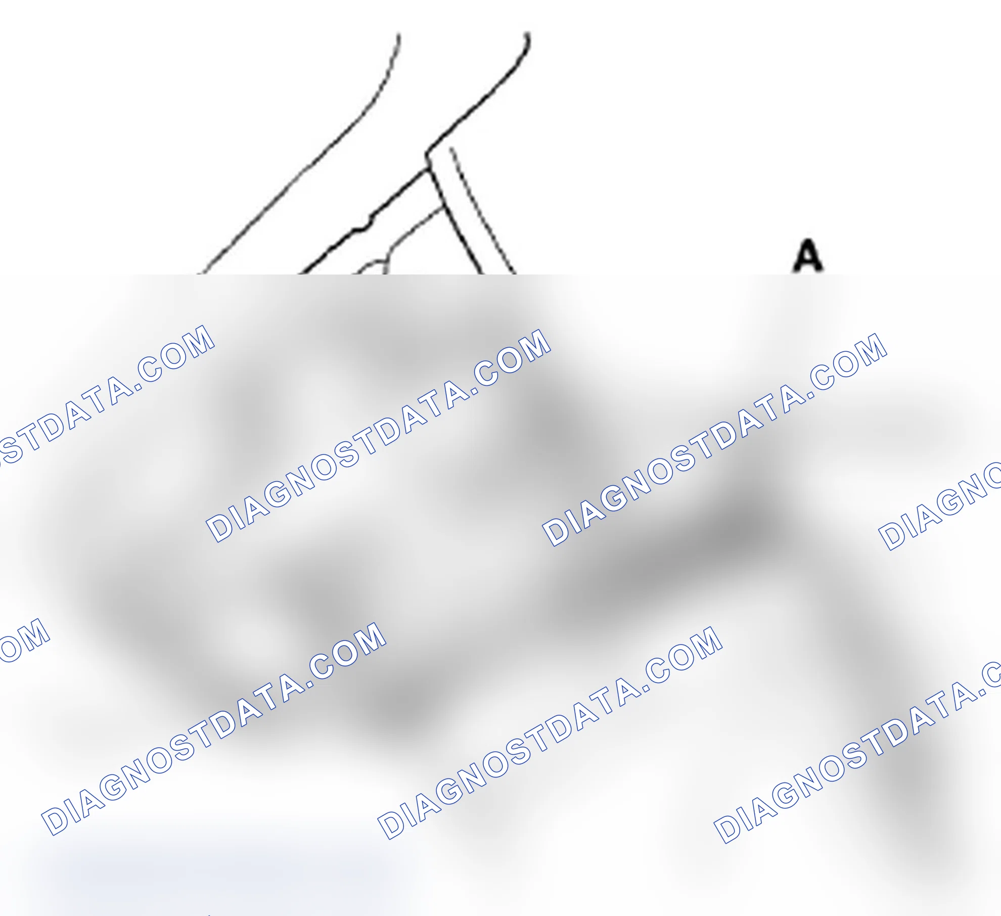 Scheme 206: Side Curtain Airbag