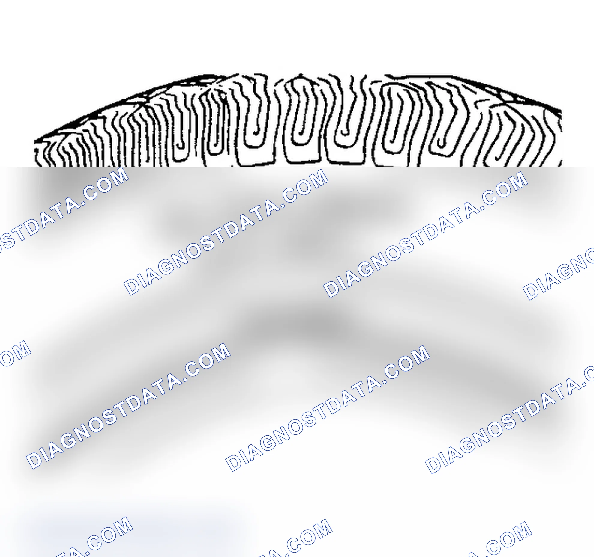 Scheme 3: All Seasons Tires Description