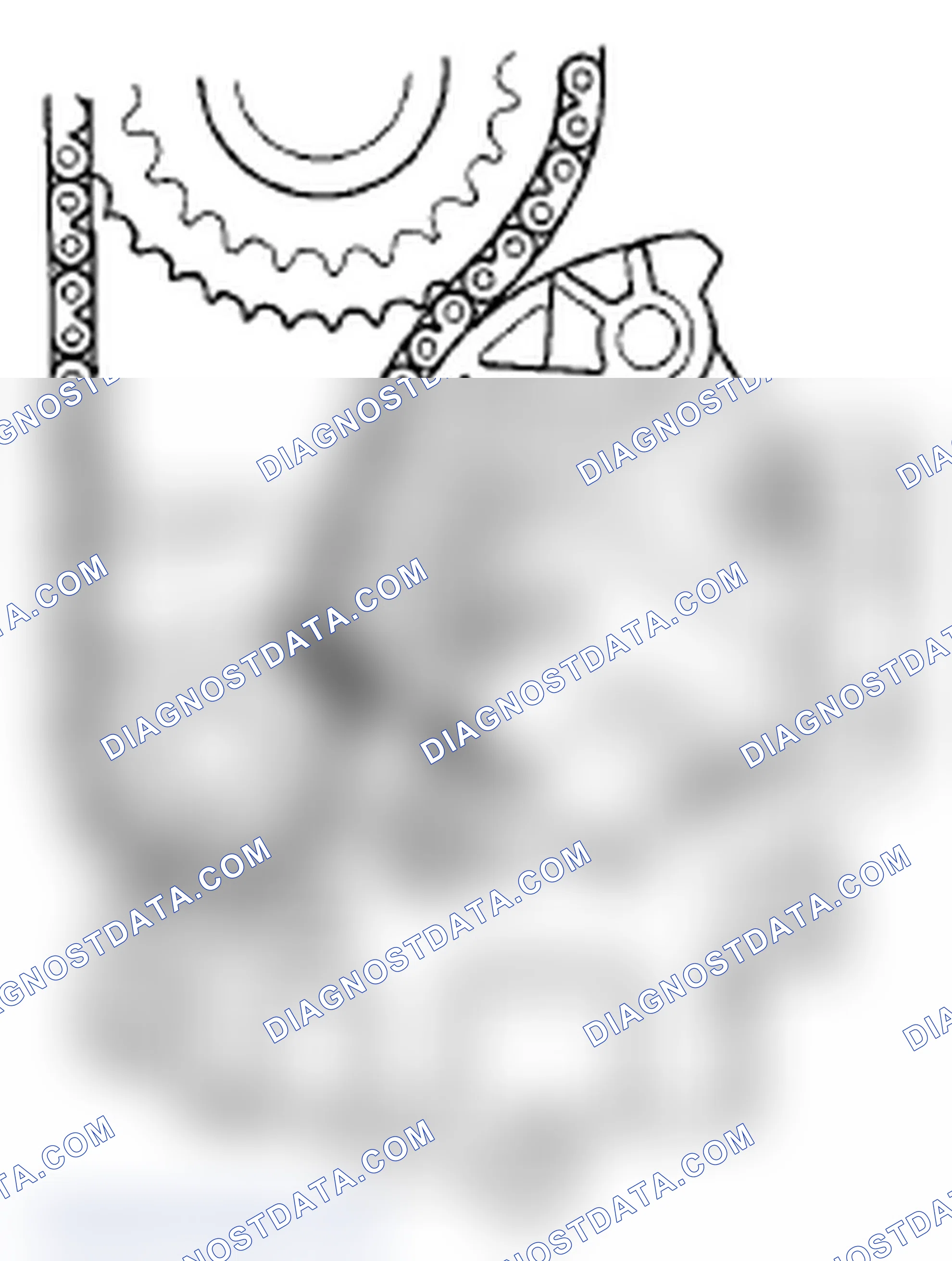Scheme 81: Oil Pump Chain Inspection