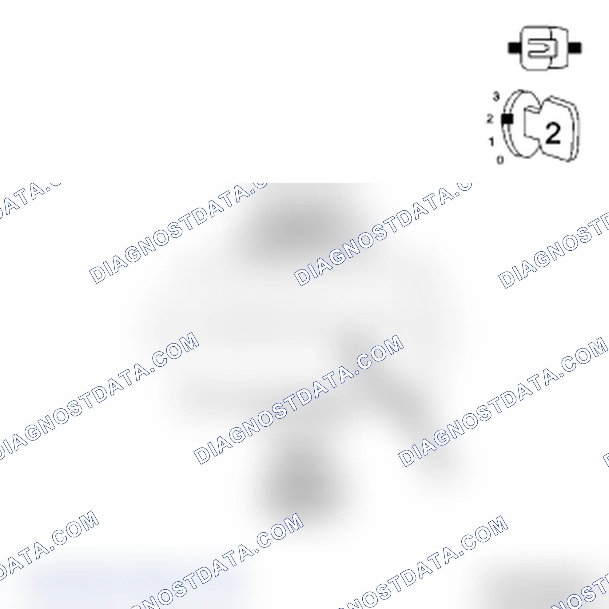 Scheme 19: Diagnostic Test