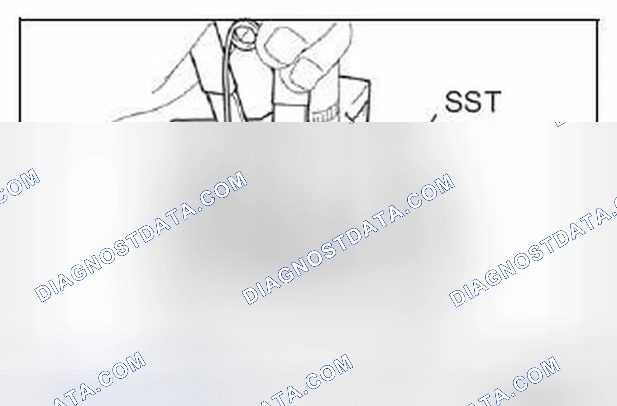 Scheme 313