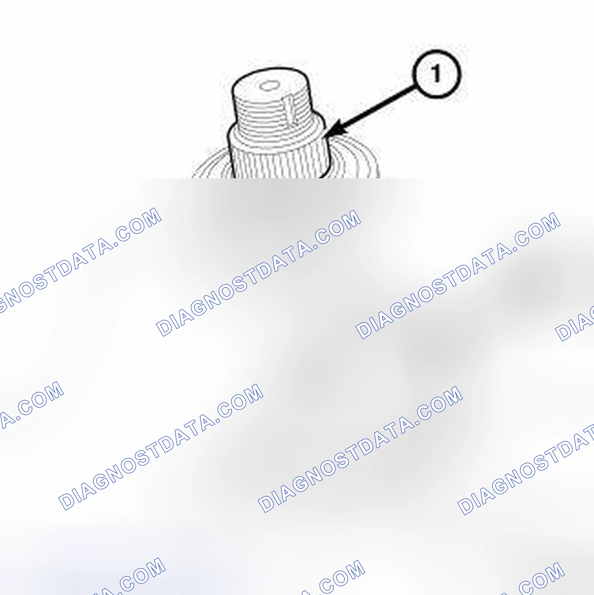 Scheme 519