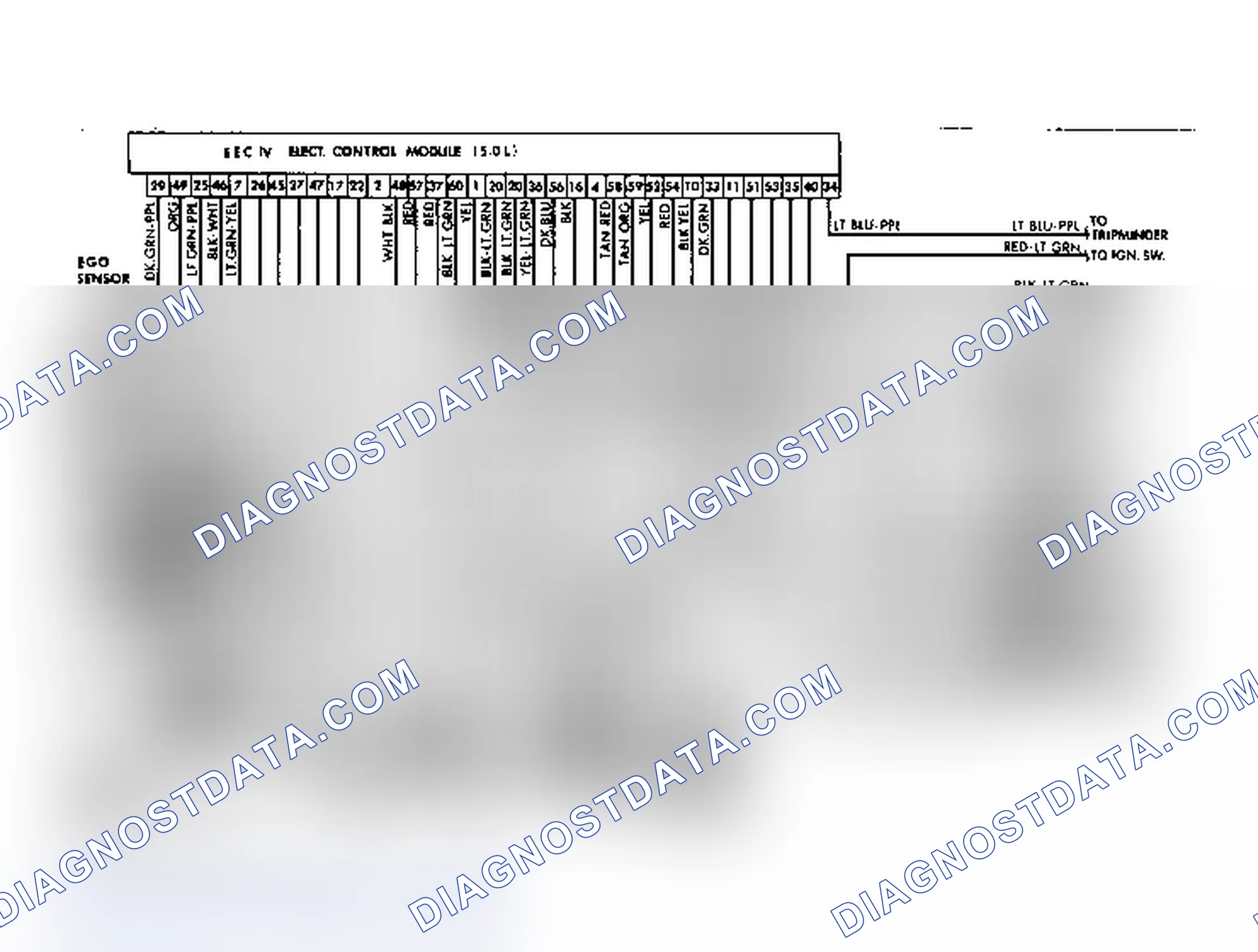 Scheme 9: Ford 5.0L V8 EFI (EEC IV) System Wiring Diagram