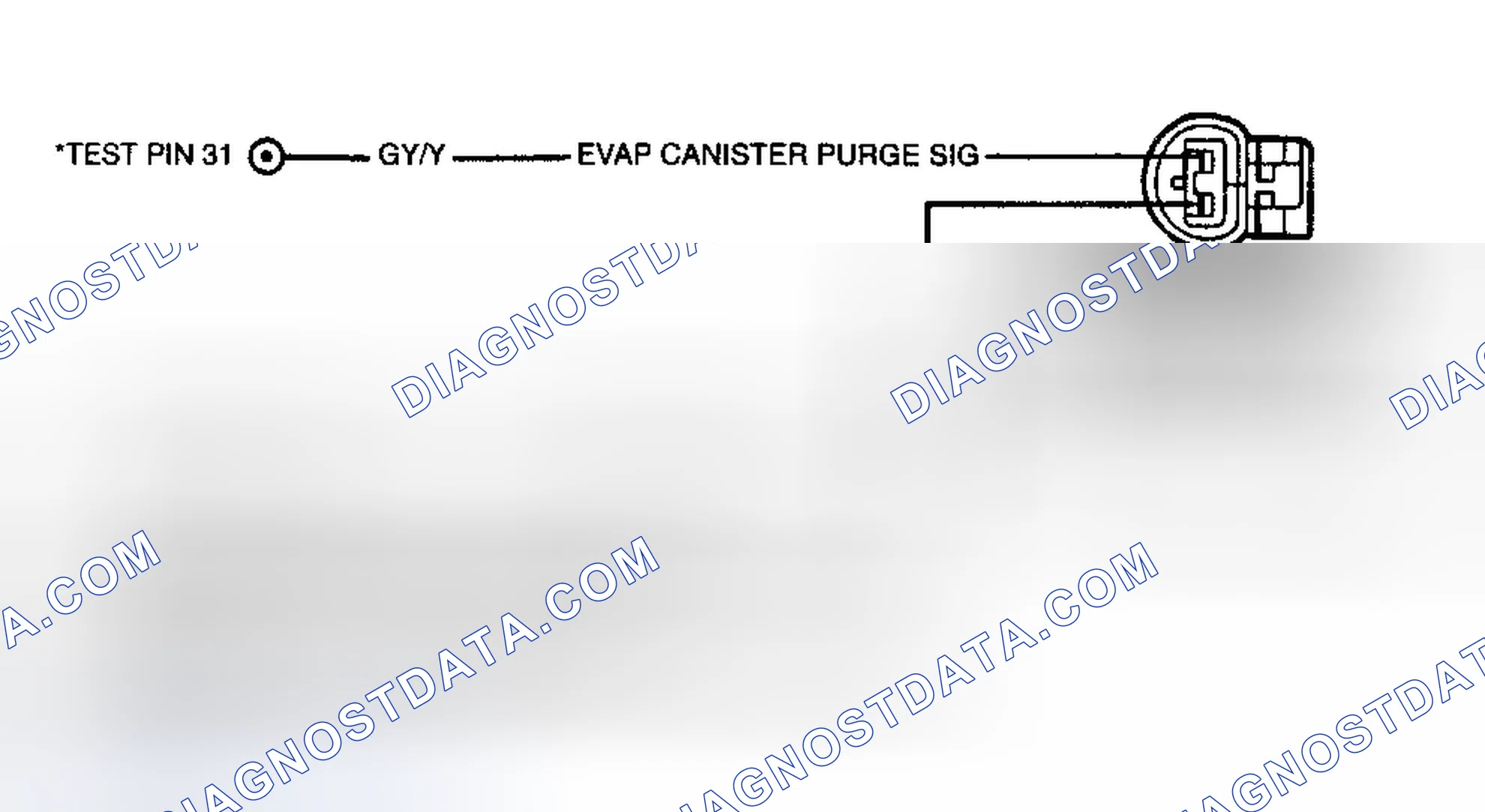 Scheme 369: Canister Purge (CANP) Circuit