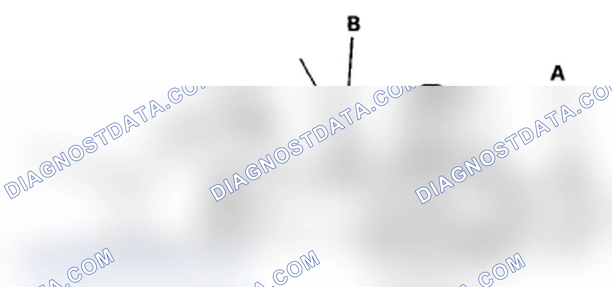 Scheme 2: Radiator Cap Test