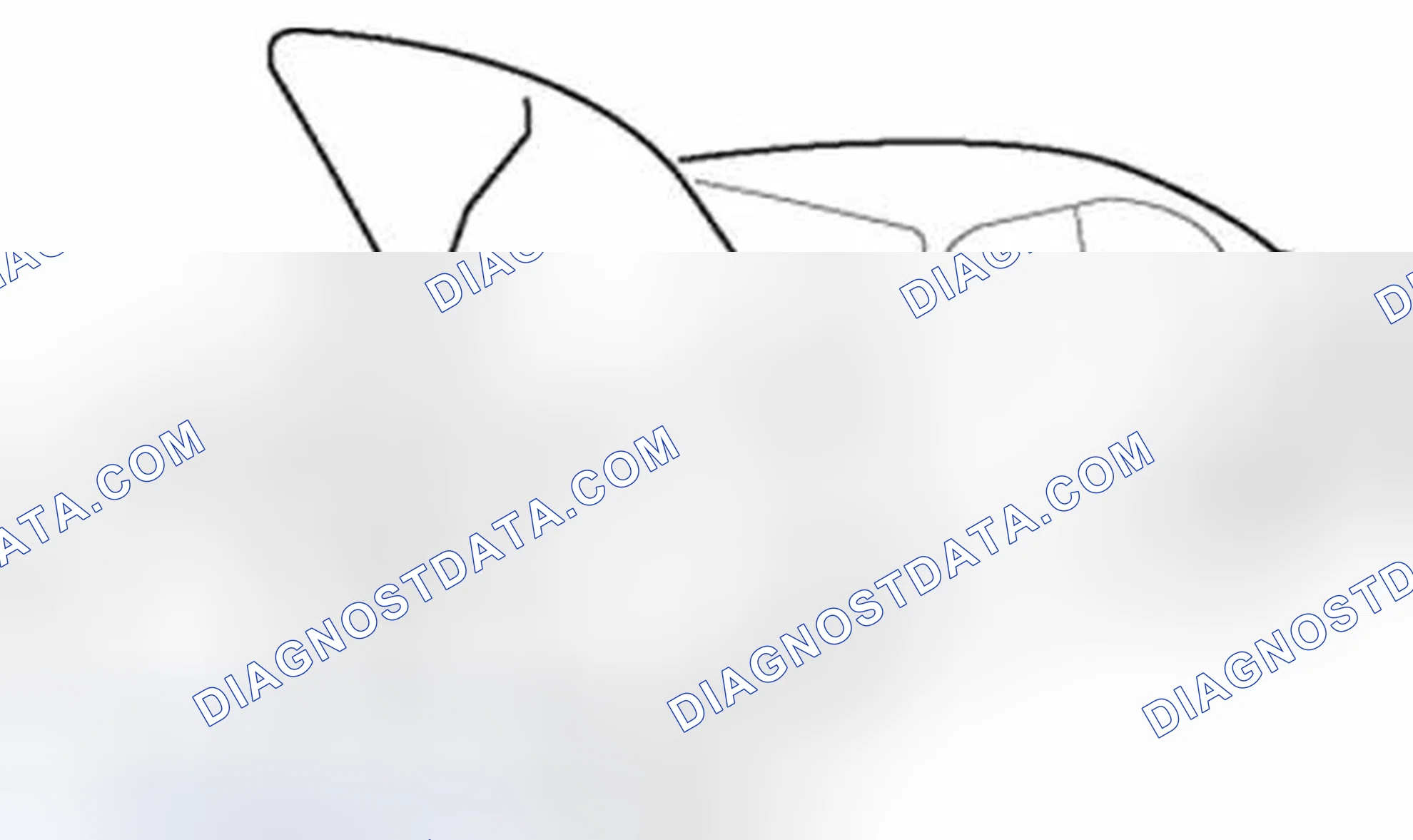 Scheme 27: Protection of the Vehicle