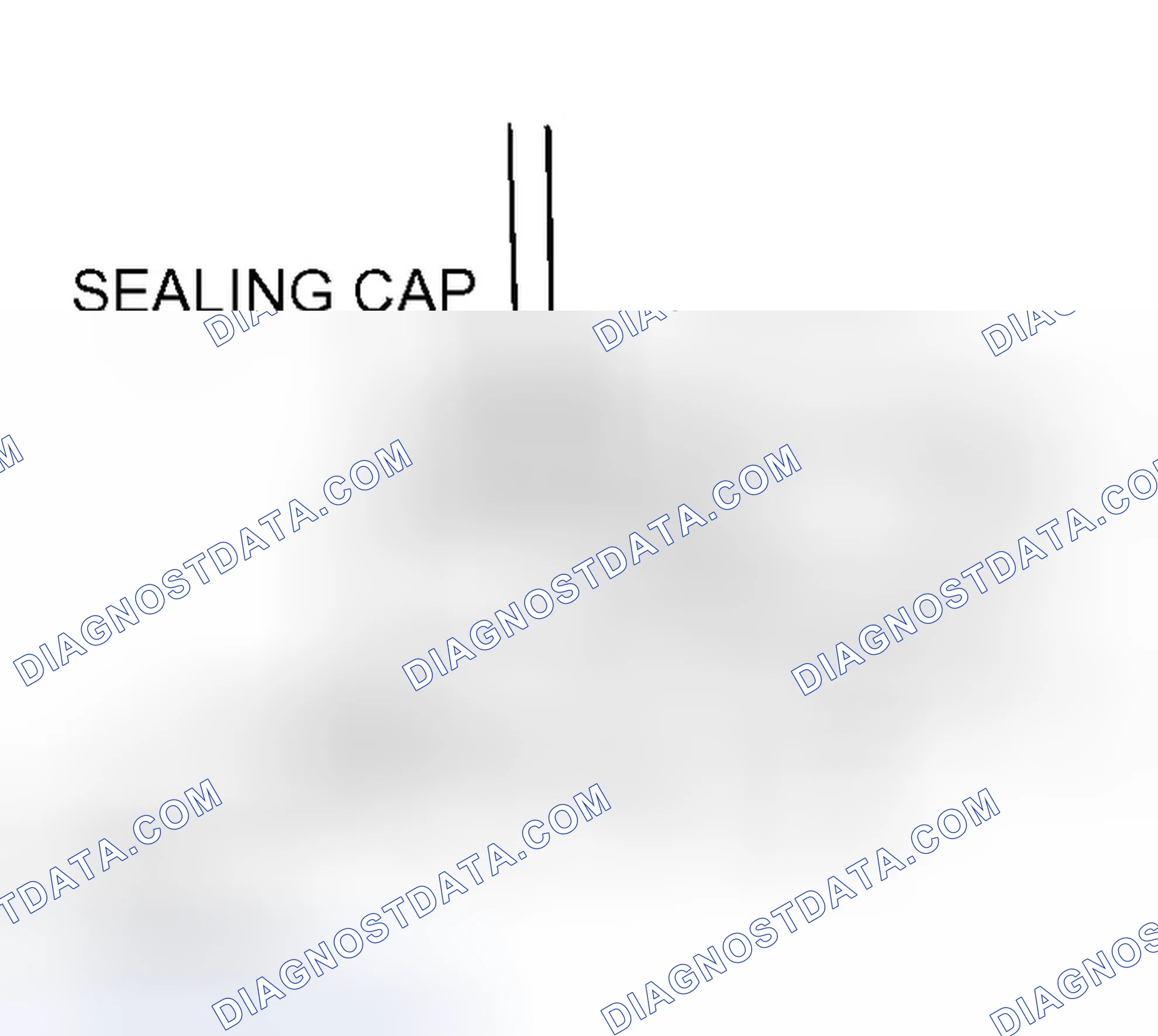 Scheme 223: << A >> SEALING CAP REMOVAL