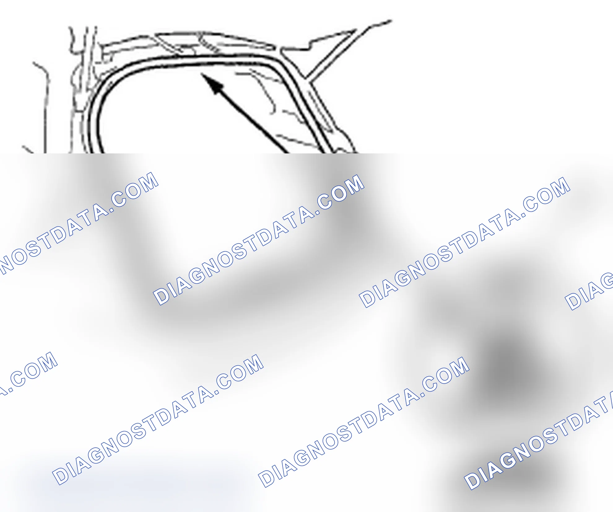 Scheme 110: Tailgate Weatherstrip Replacement