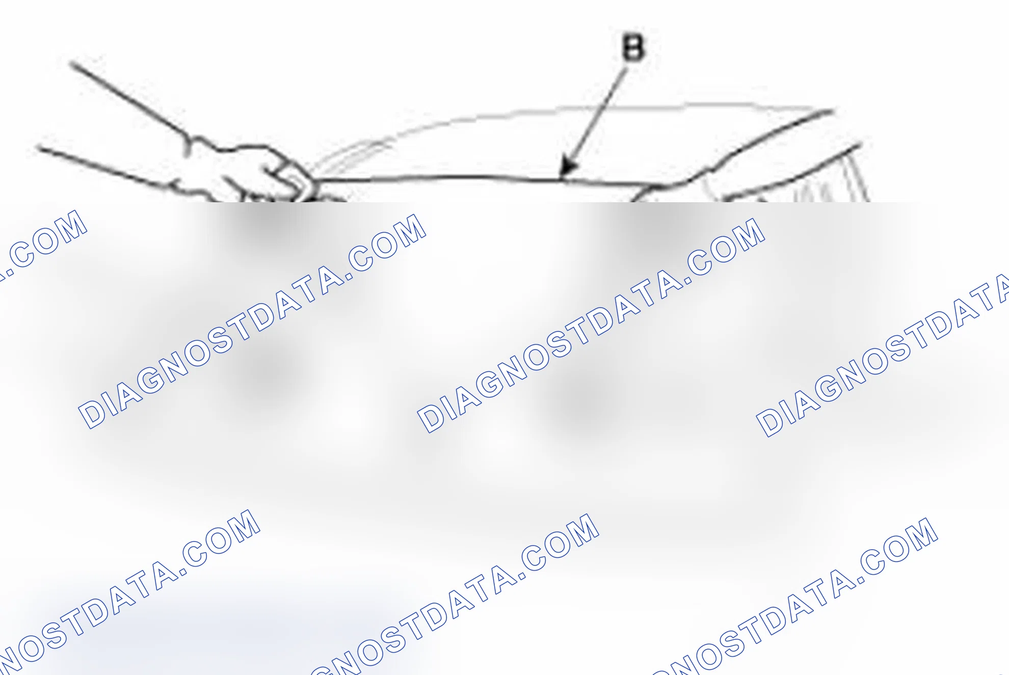 Scheme 6