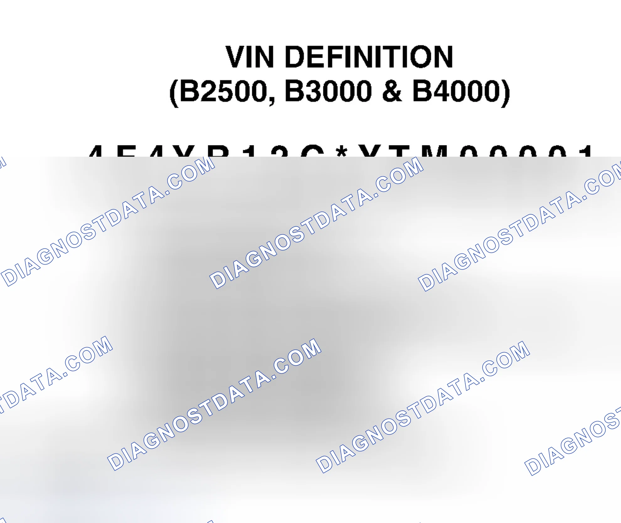 Scheme 2: VIN Definition (B2500, B3000 & B4000)