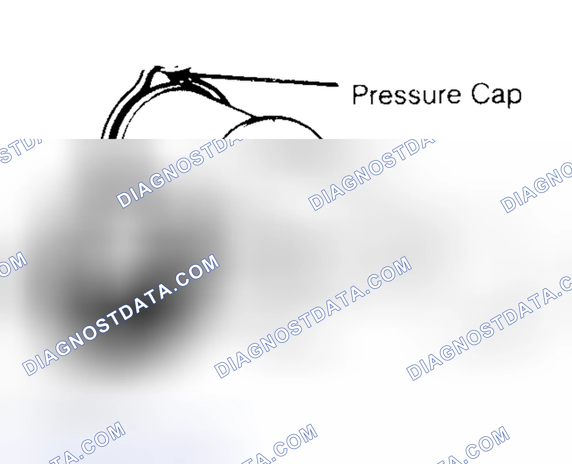 Scheme 2: Pressure Testing Radiator Cap