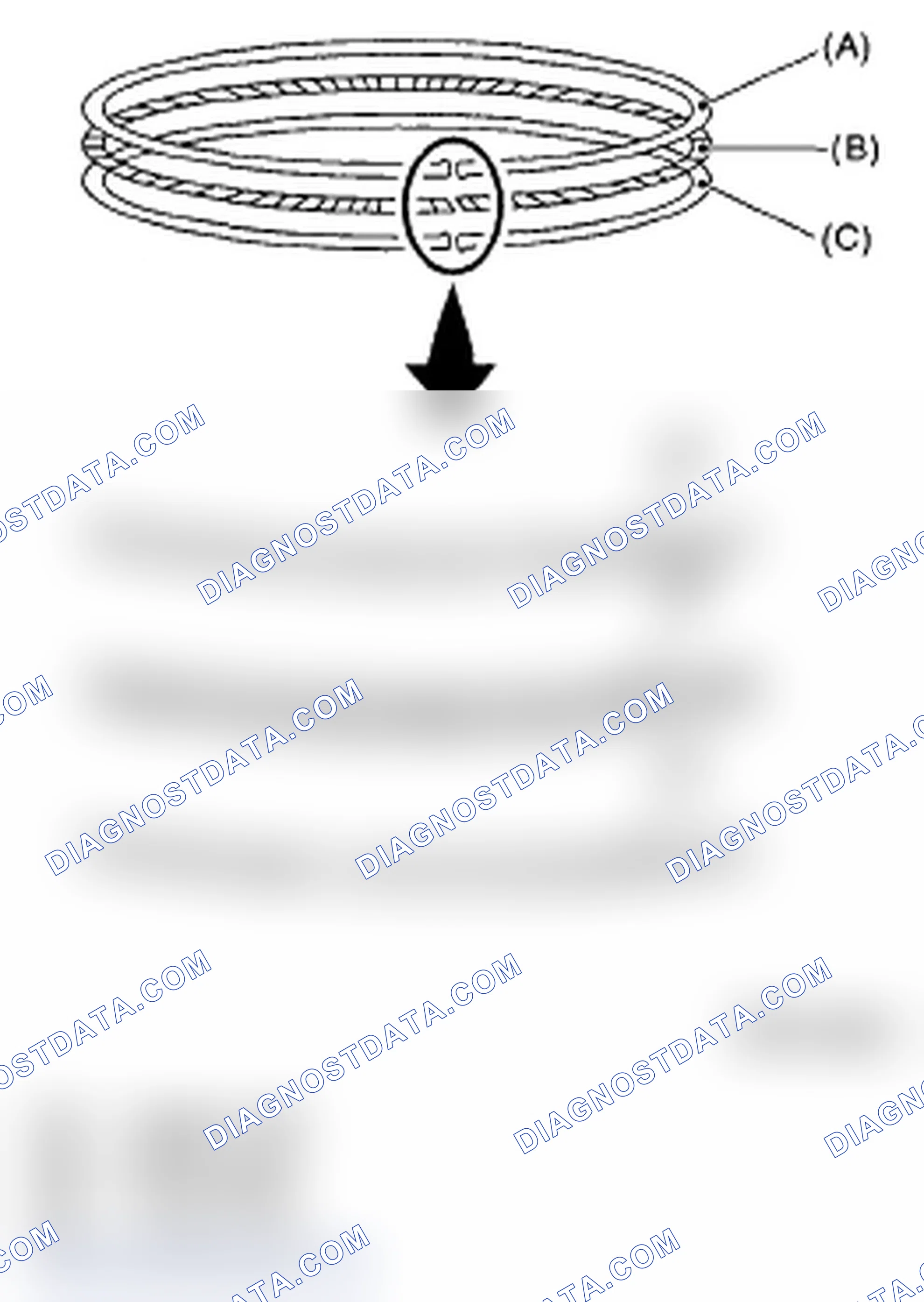 Scheme 683: PISTON RING