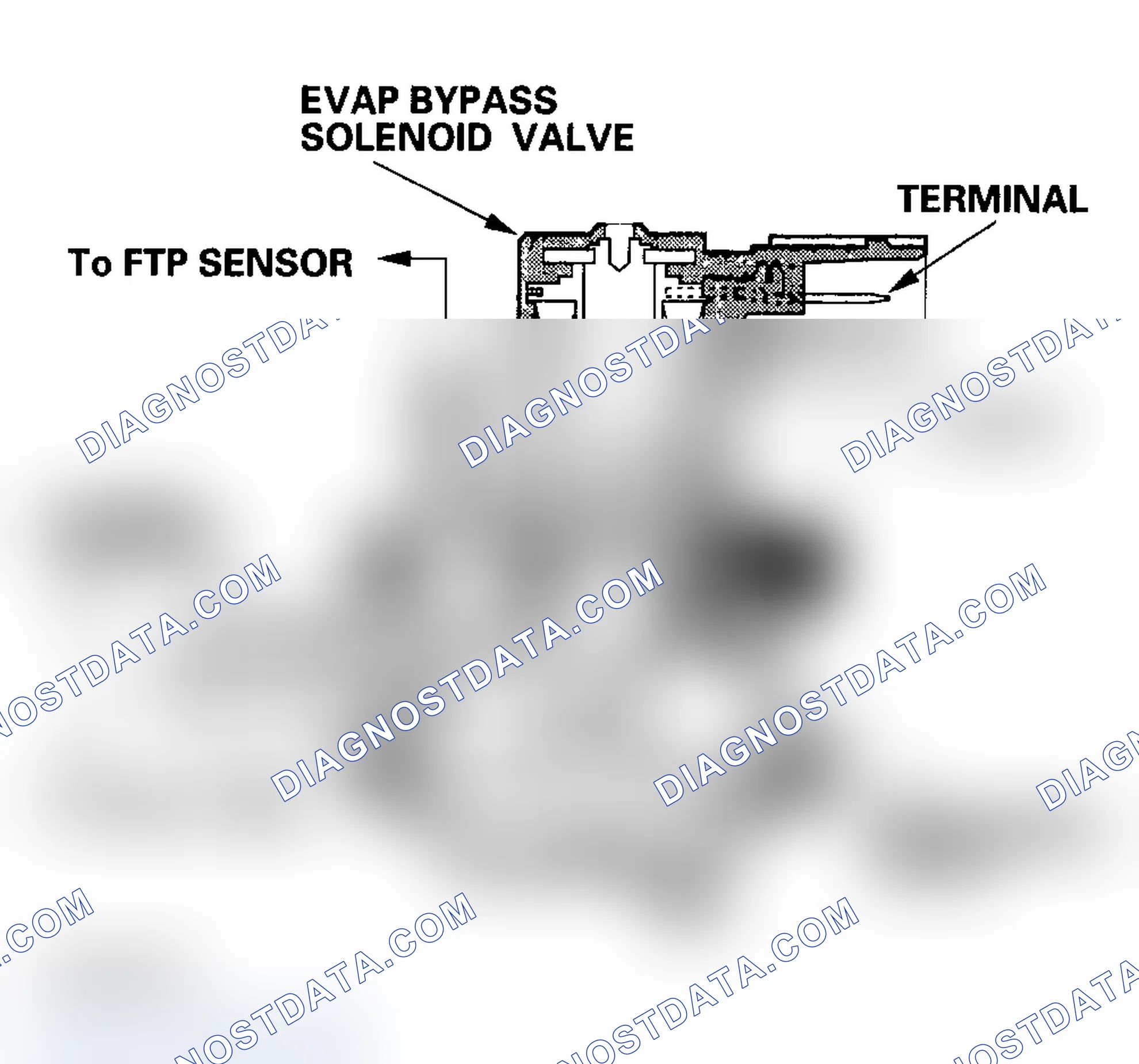 Scheme 82: EVAP Two Way Valve and EVAP Bypass Solenoid Valve (2002-2004 Models)