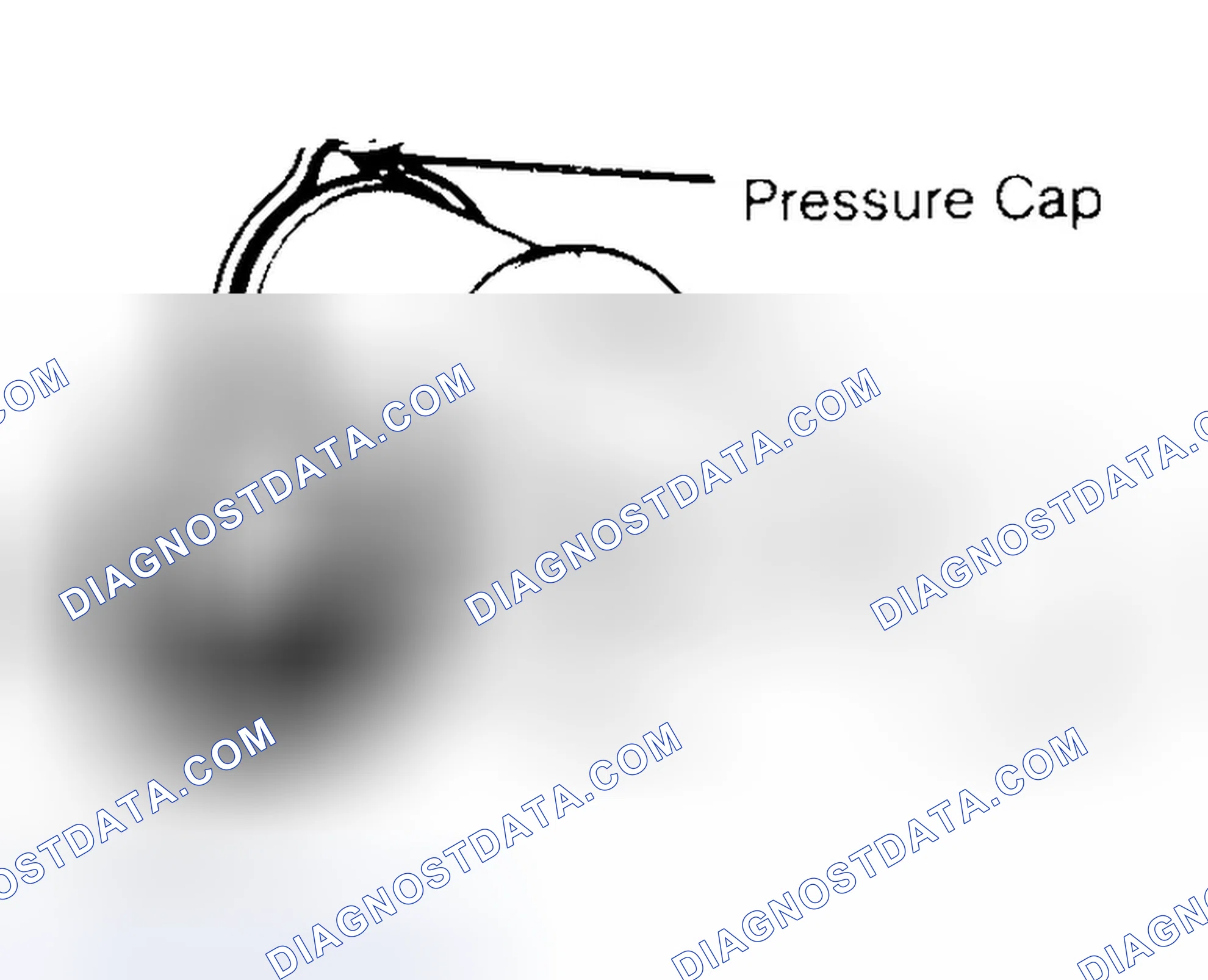Scheme 2: Pressure Testing Radiator Cap