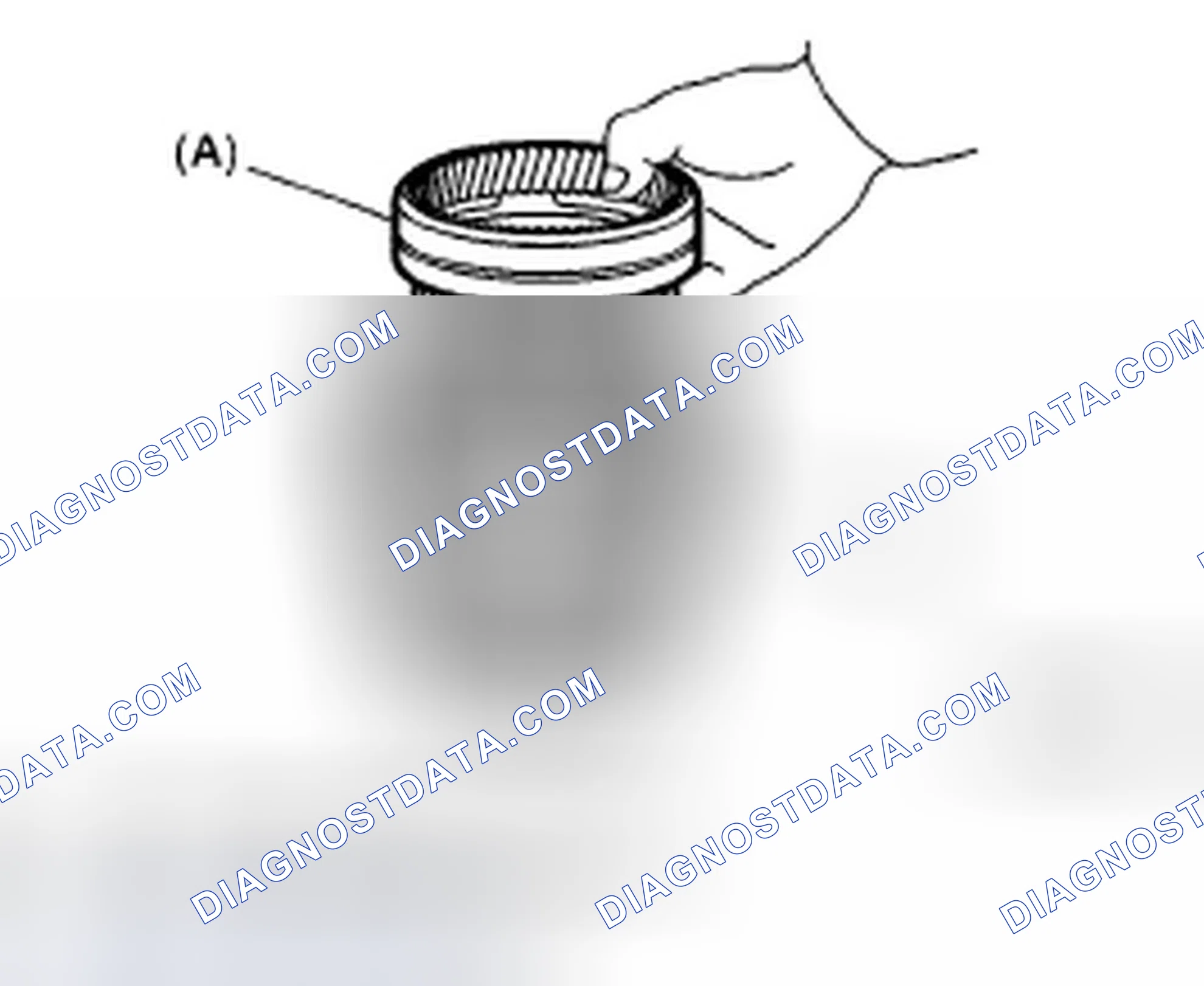 Scheme 384