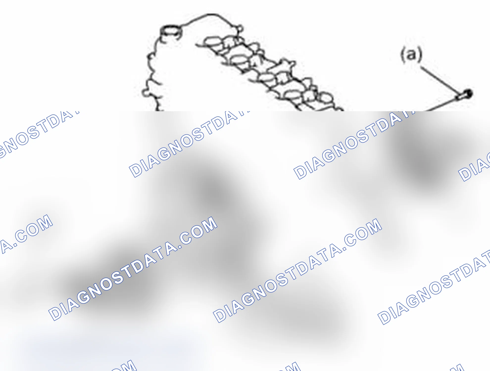 Scheme 191