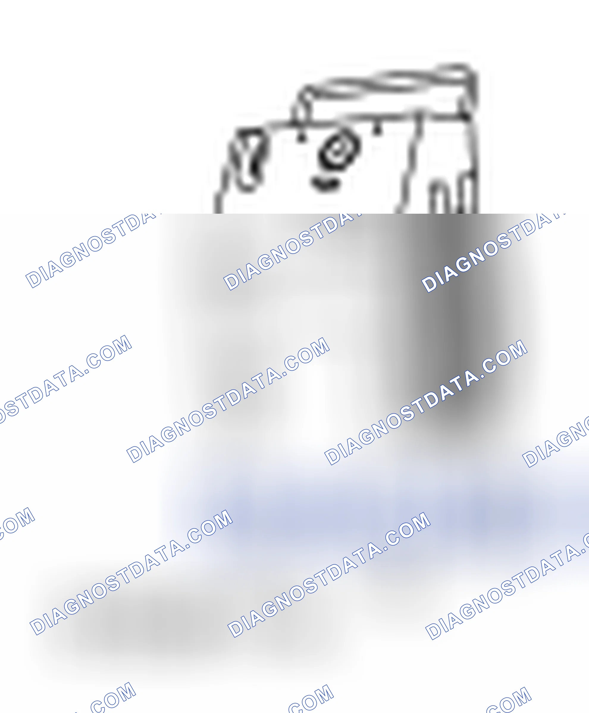 Scheme 124: Evaporative Emission System Leak Test