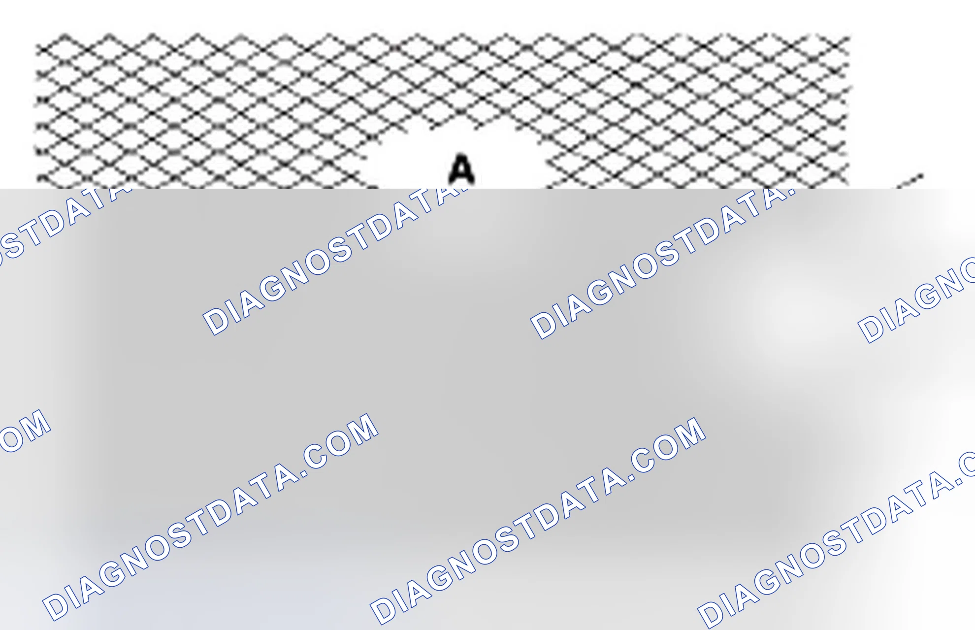 Scheme 262: Cylinder Bore Honing