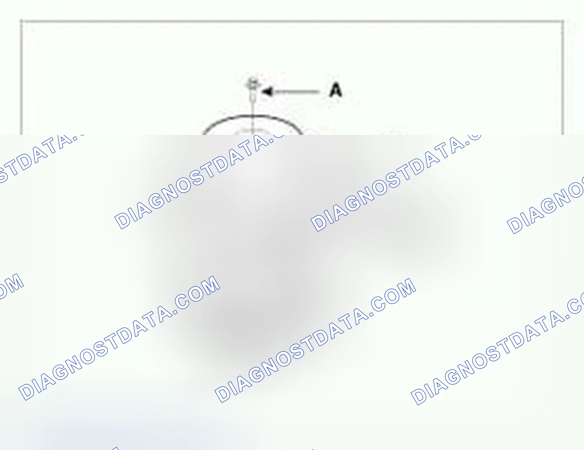 Scheme 37