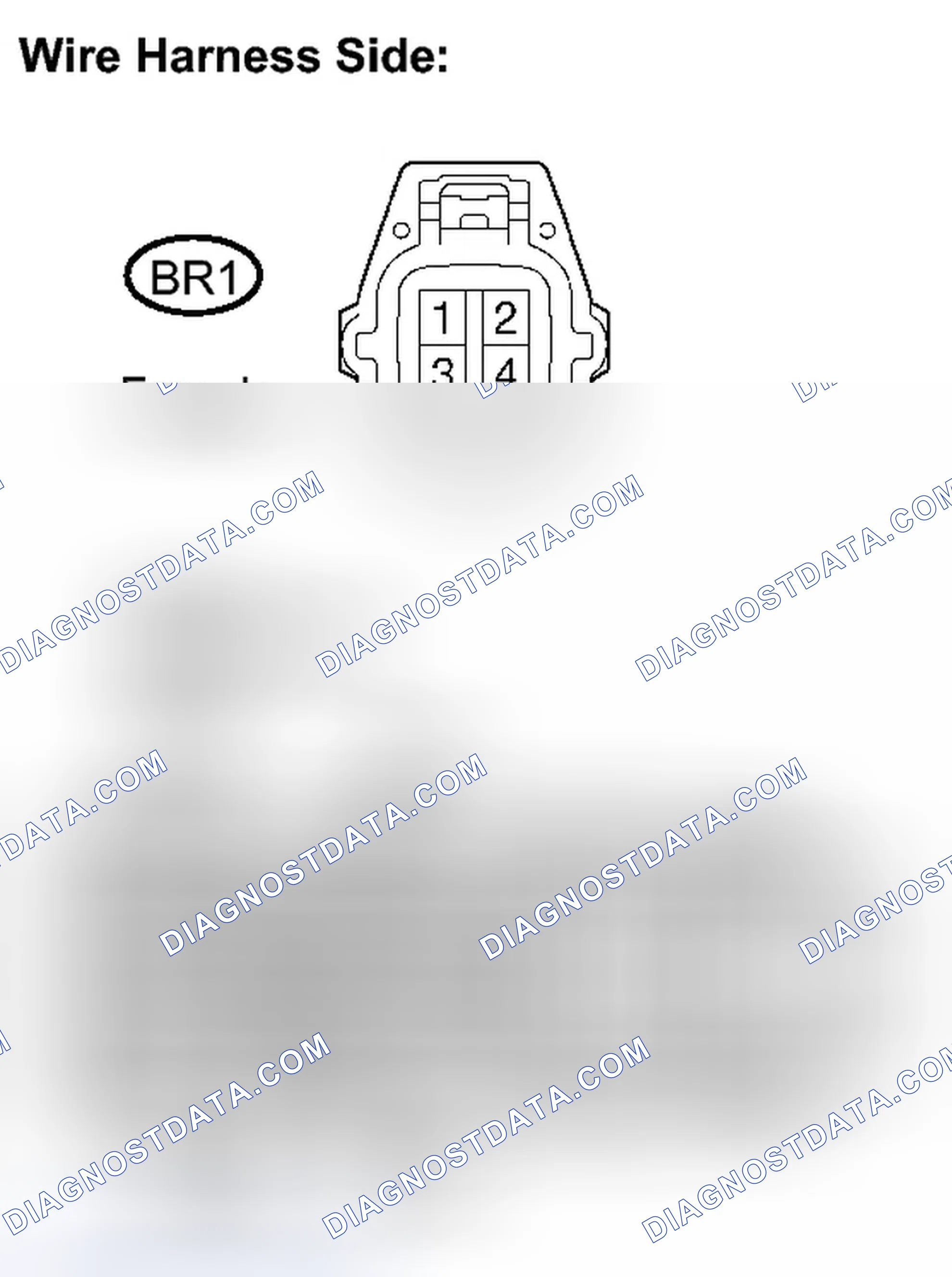 Scheme 507