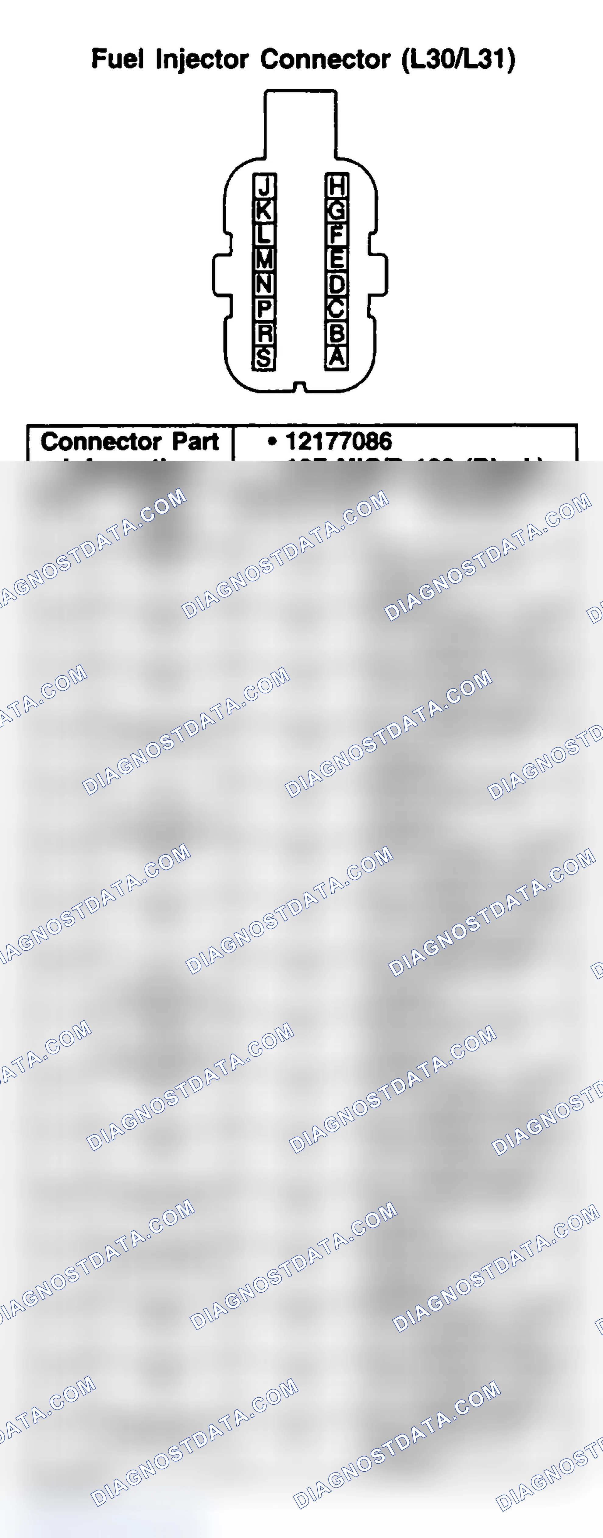 Scheme 157: FUEL INJECTOR (L30/L31)