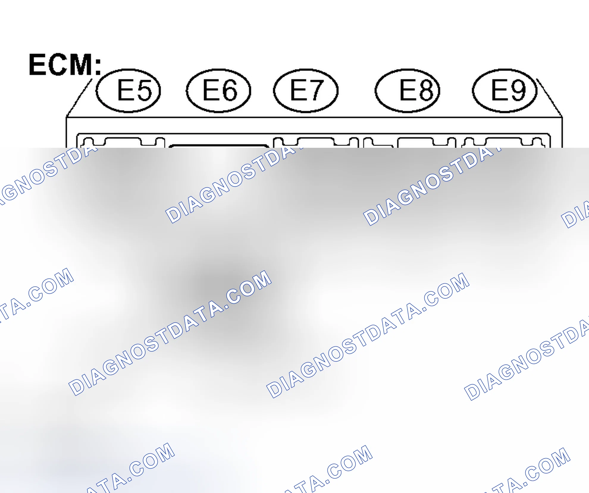 Scheme 257