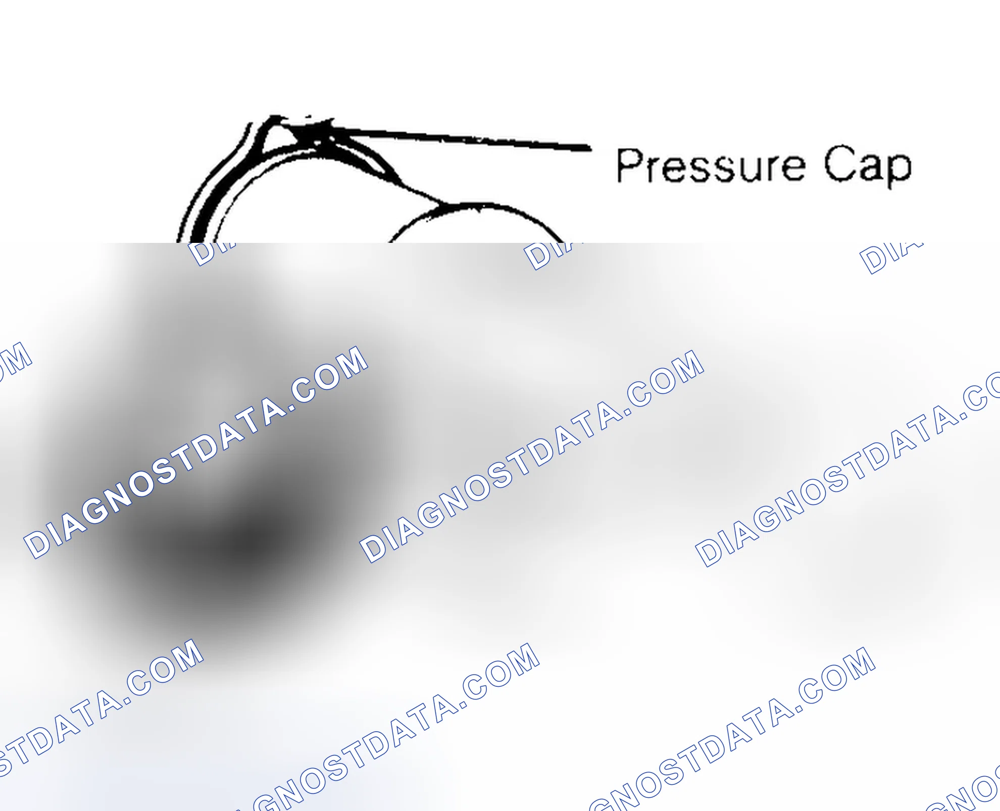 Scheme 2: Pressure Testing Radiator Cap