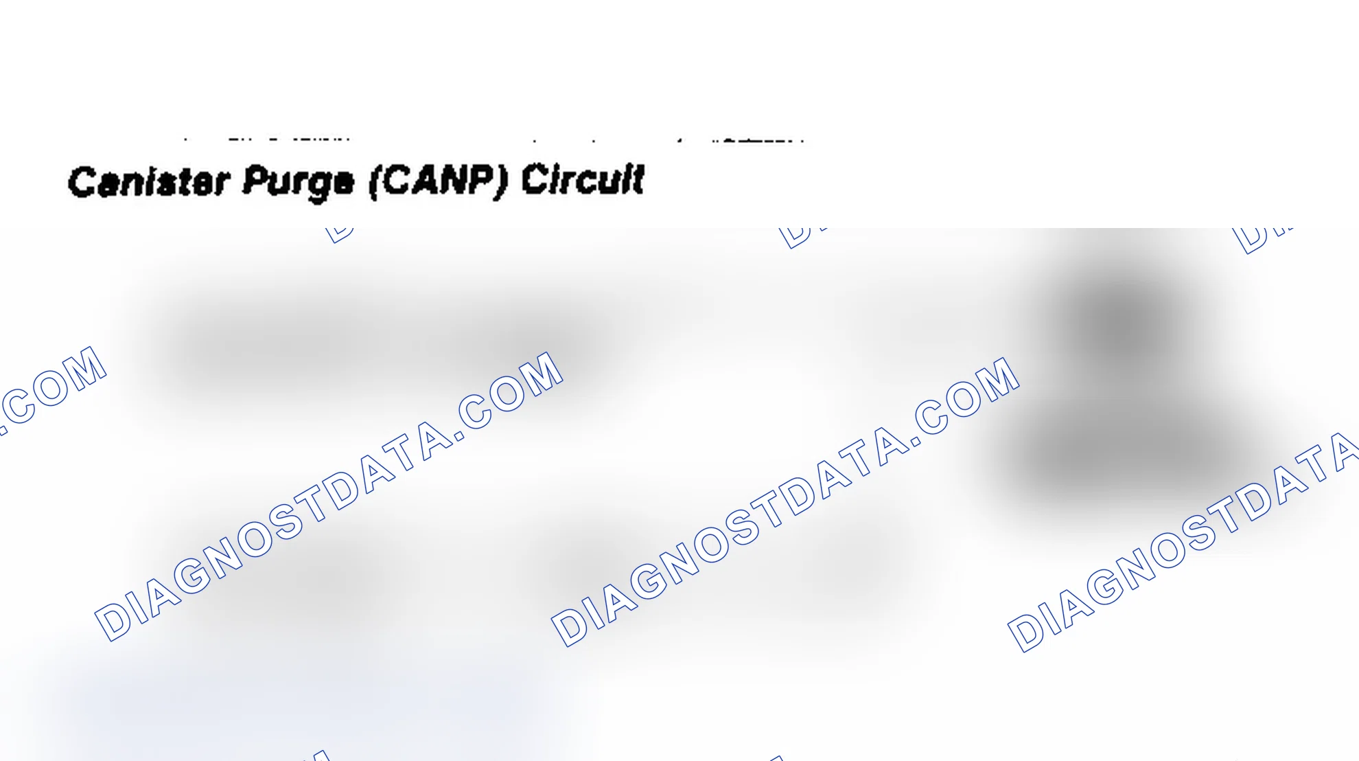 Scheme 31: Canister Purge (CANP) Circuit