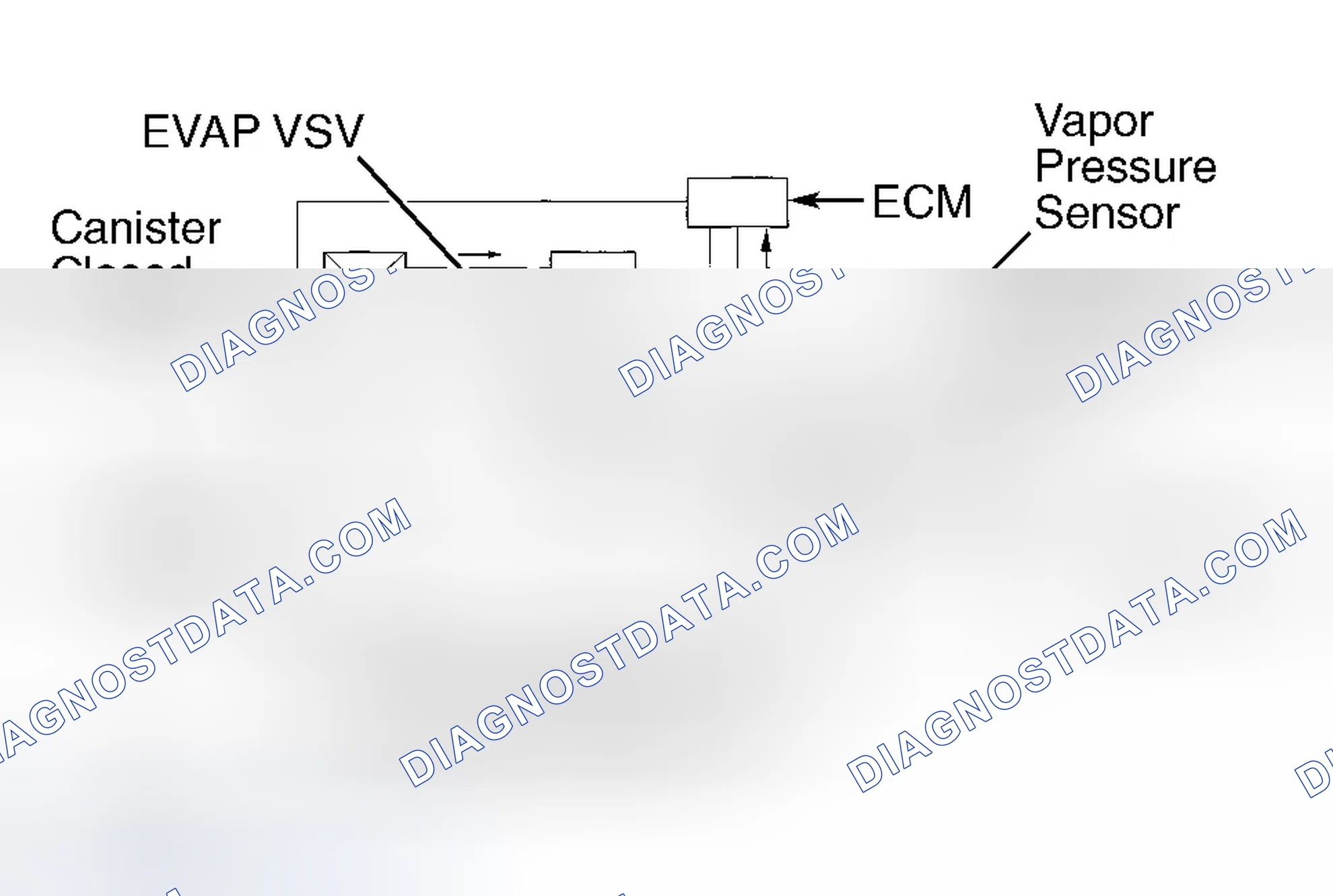 Scheme 51: Vapor Pressure Sensor (Avalon, Camry, Camry Solara, Celica, Corolla, Highlander, MR2, RAV4, Sequoia,