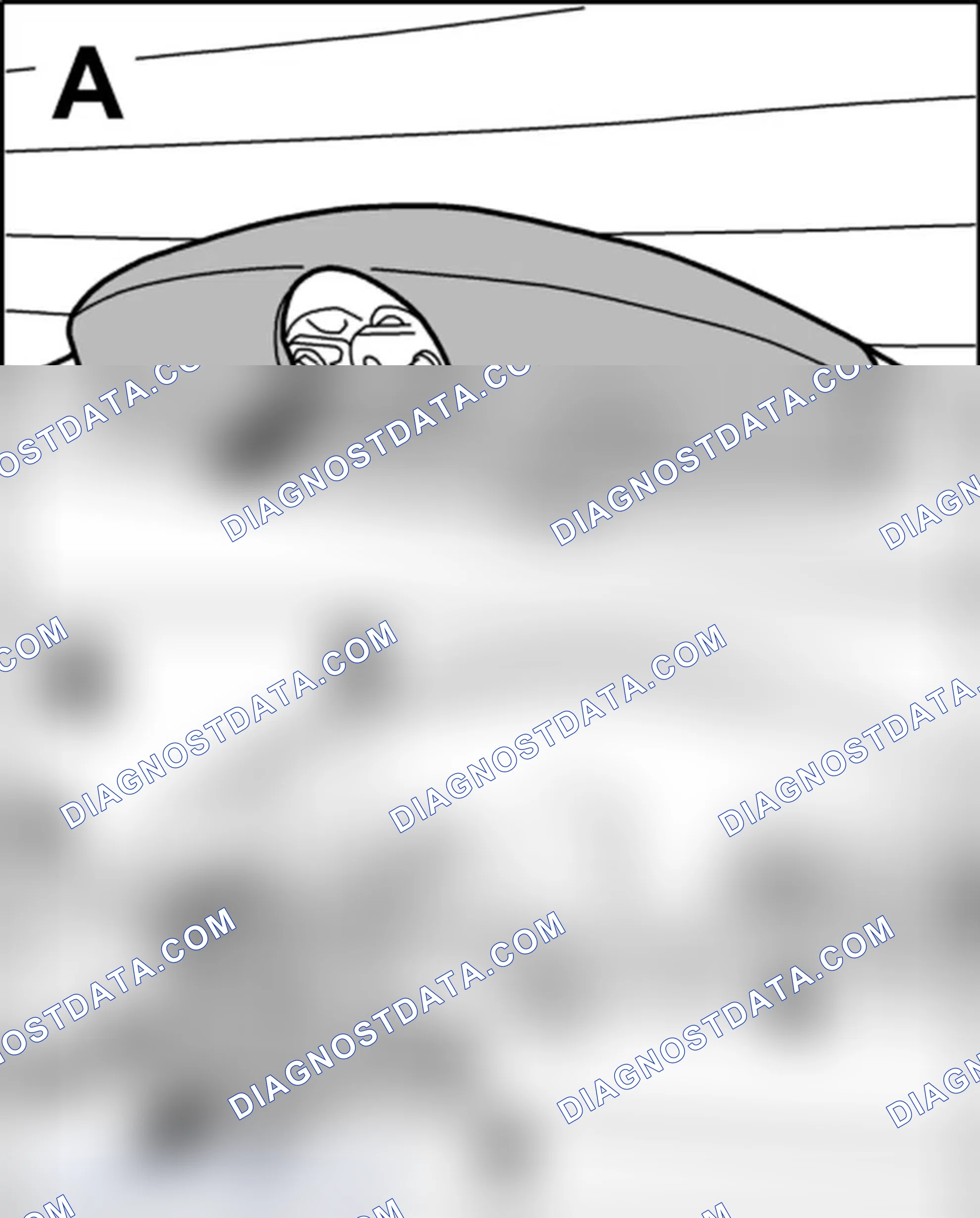 Scheme 95