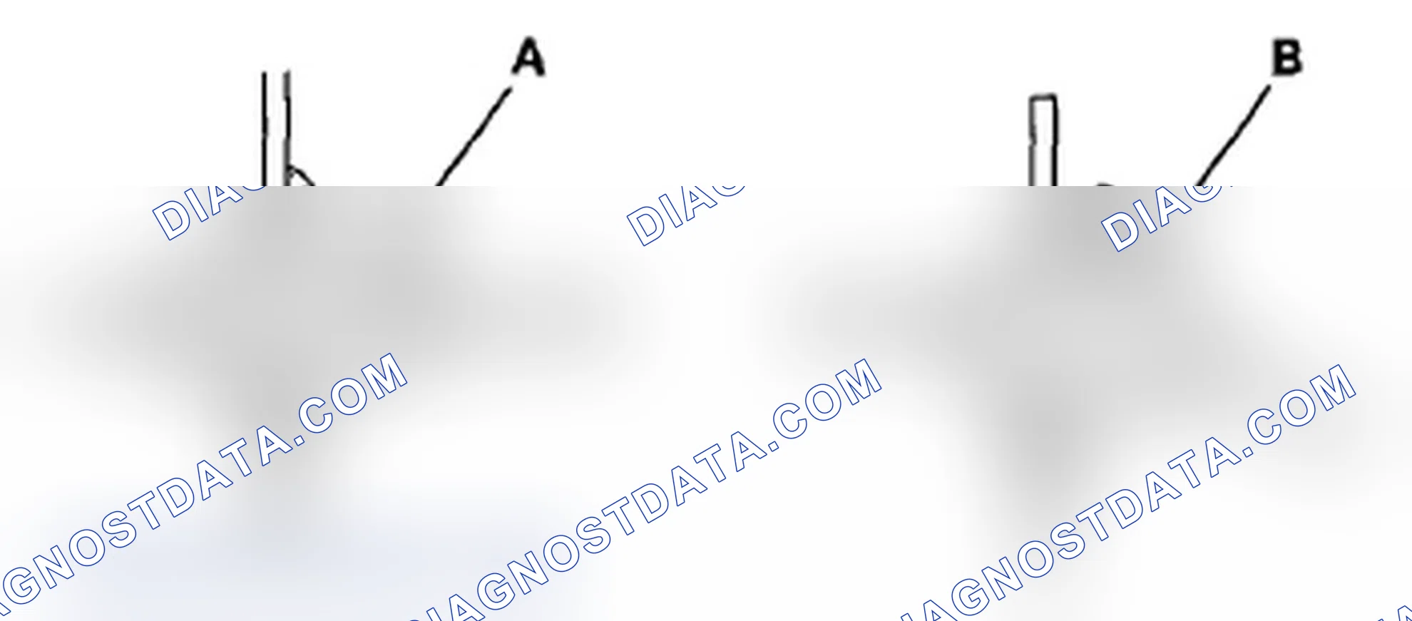 Scheme 1246