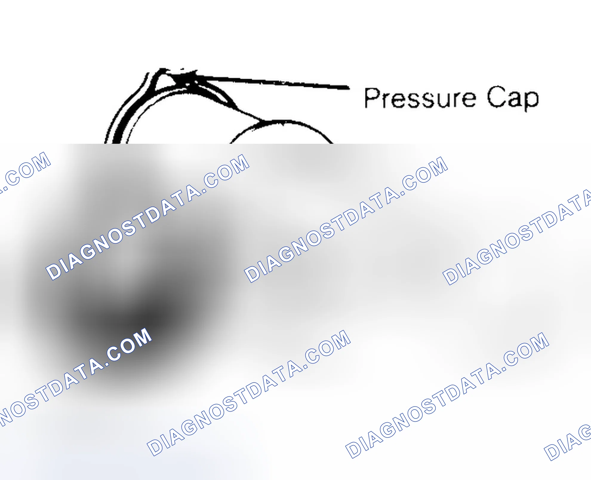 Scheme 2: Pressure Testing Radiator Cap