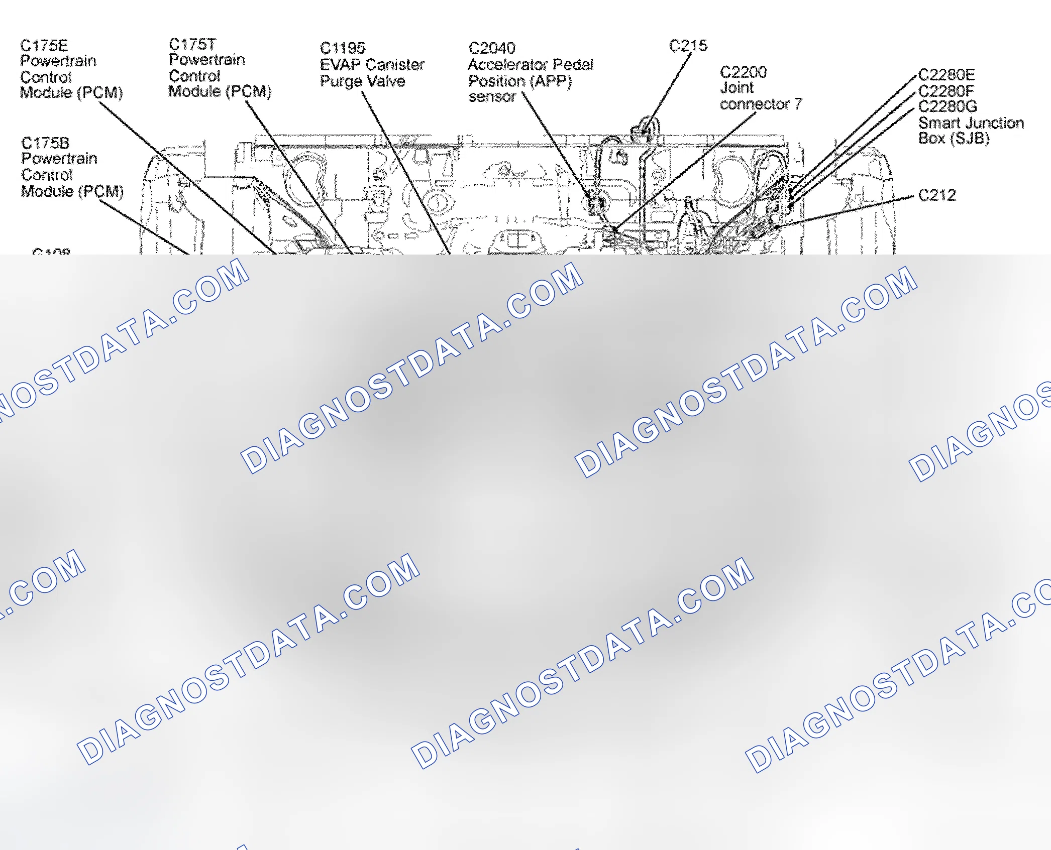 Scheme 5