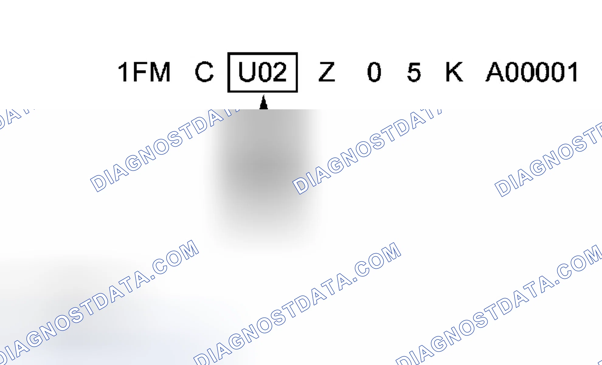 Scheme 5: Line, Series and Body Type