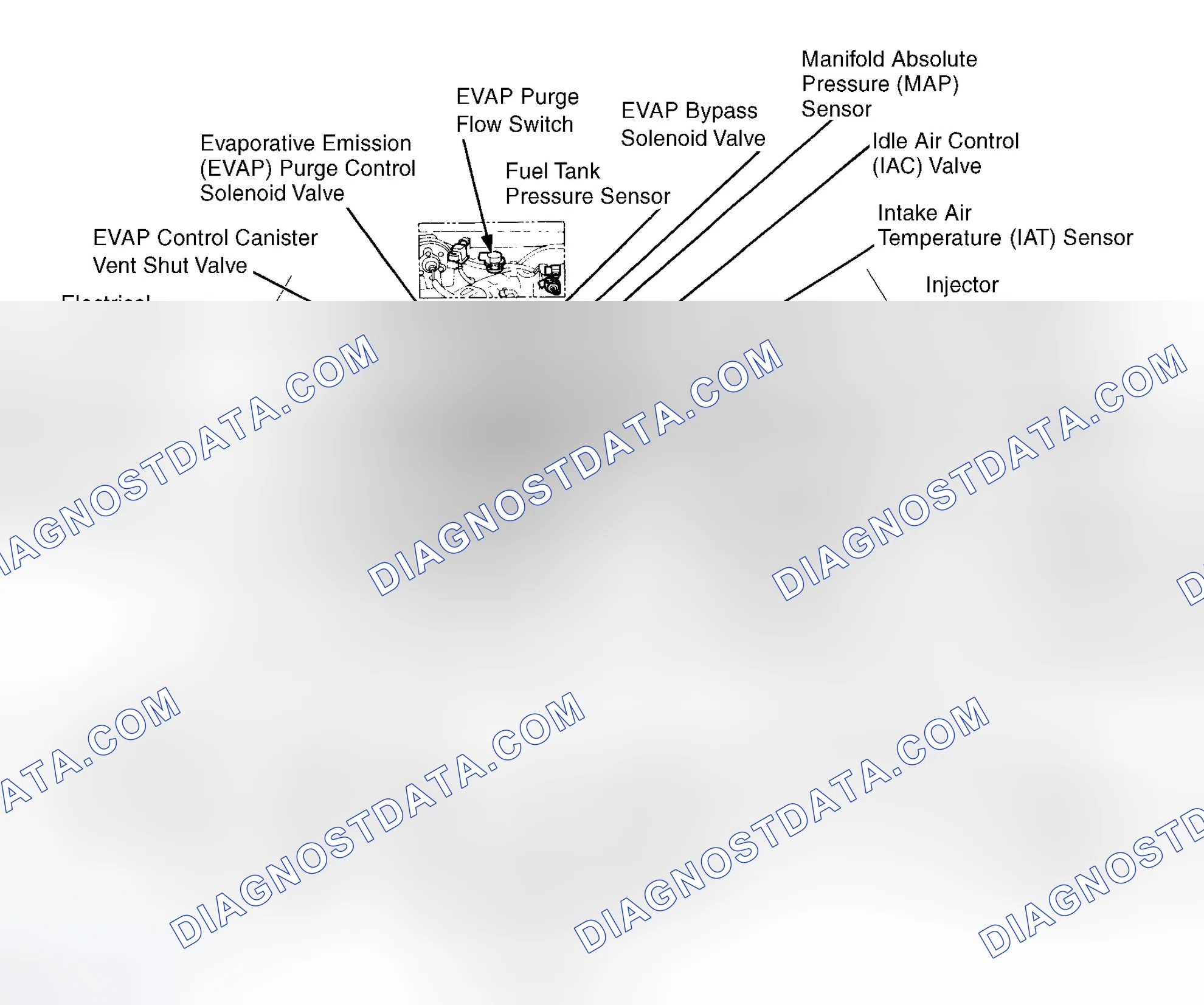 Scheme 6: Engine Compartment (1996) (2.2L VTEC)