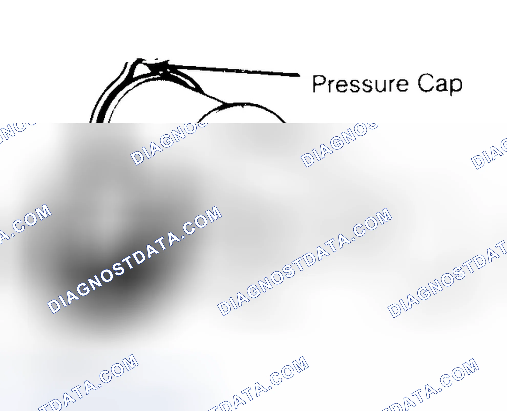 Scheme 2: Pressure Testing Radiator Cap