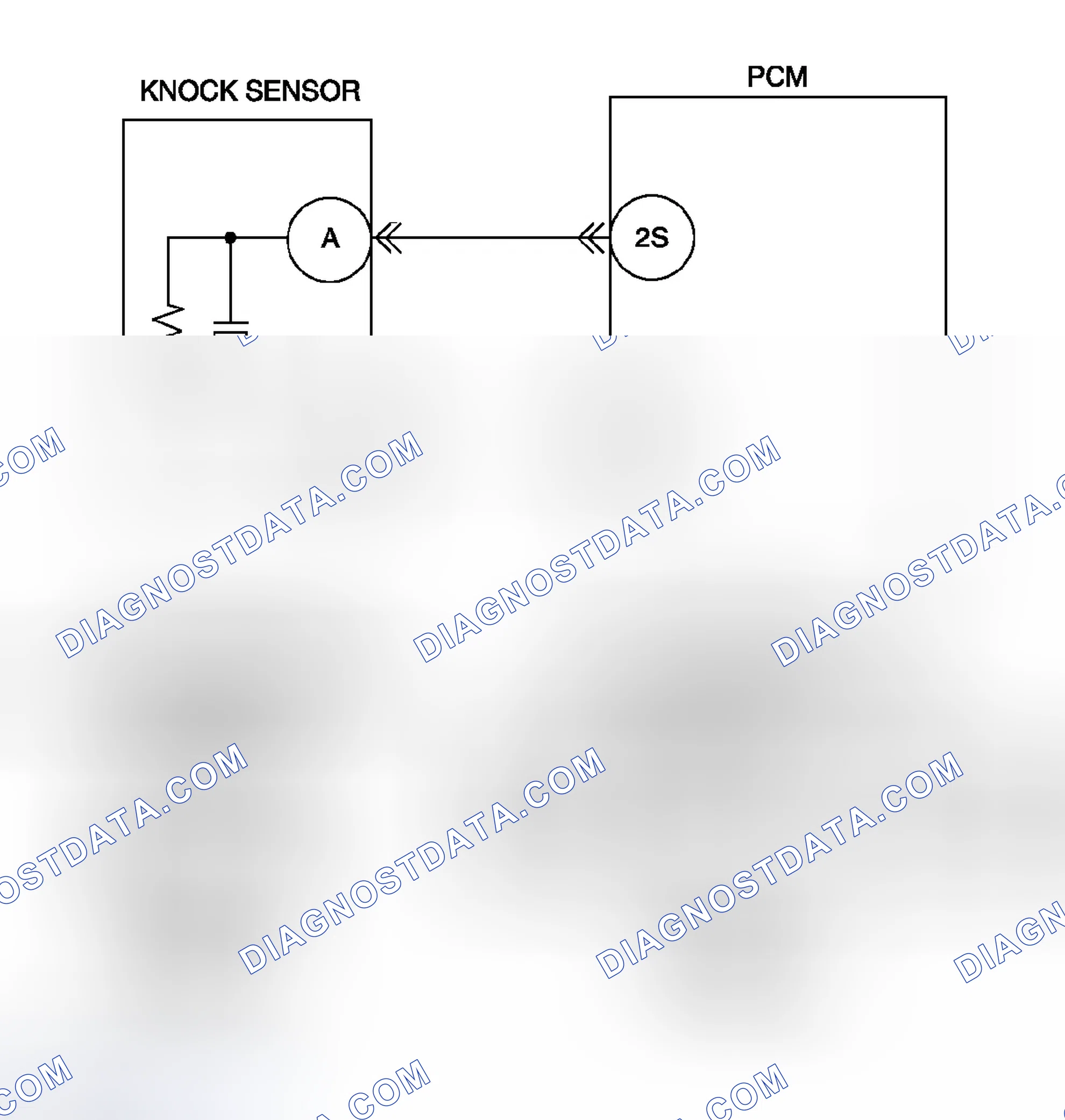 Scheme 24: Diagnostic Procedure