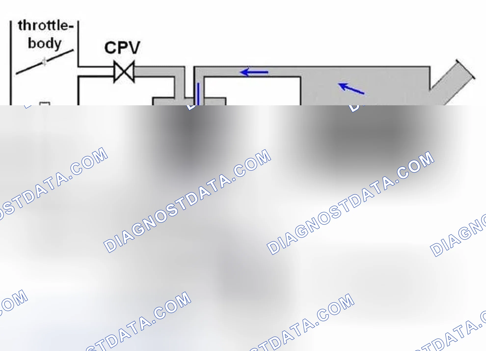 Scheme 312