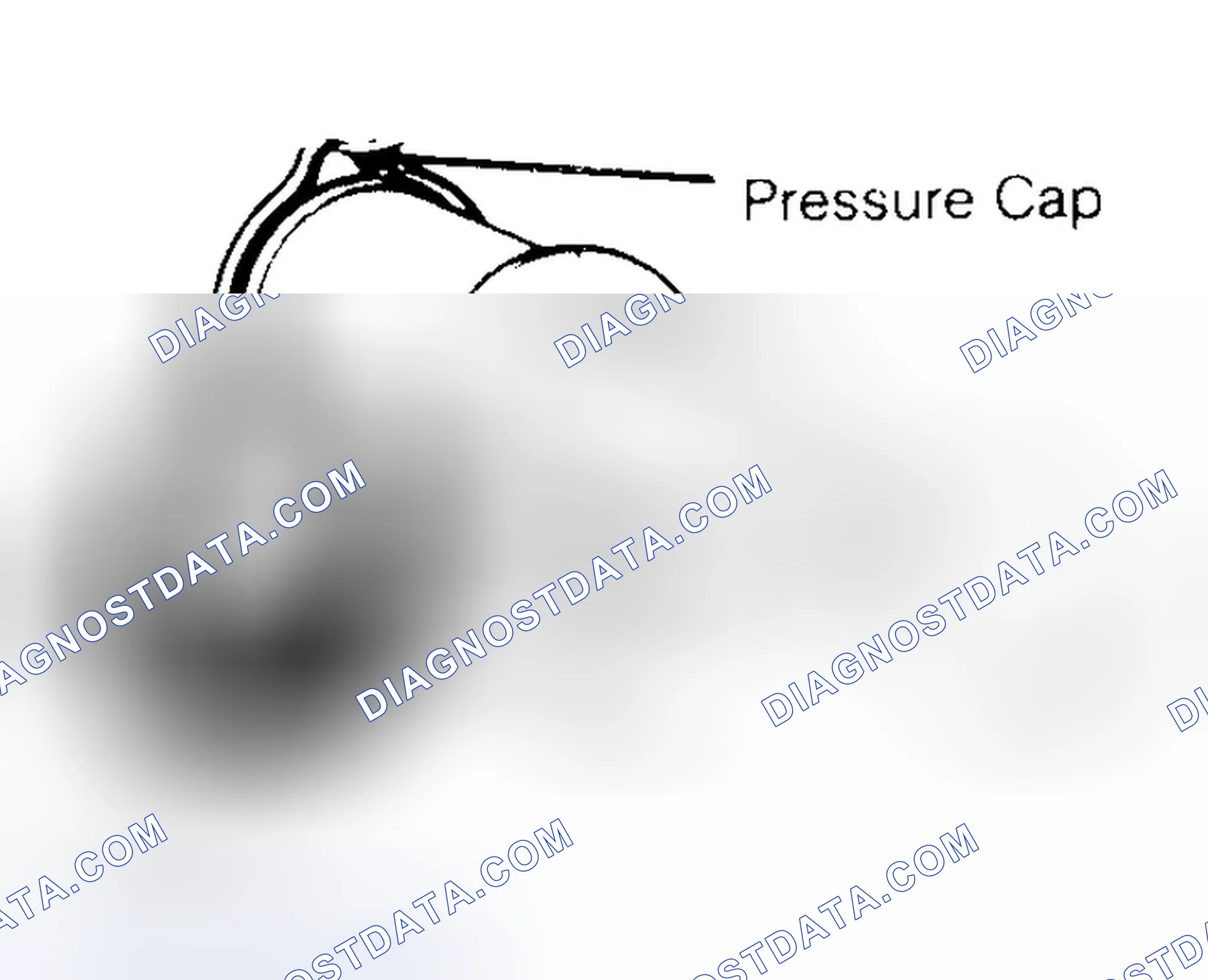 Scheme 2: Pressure Testing Radiator Cap