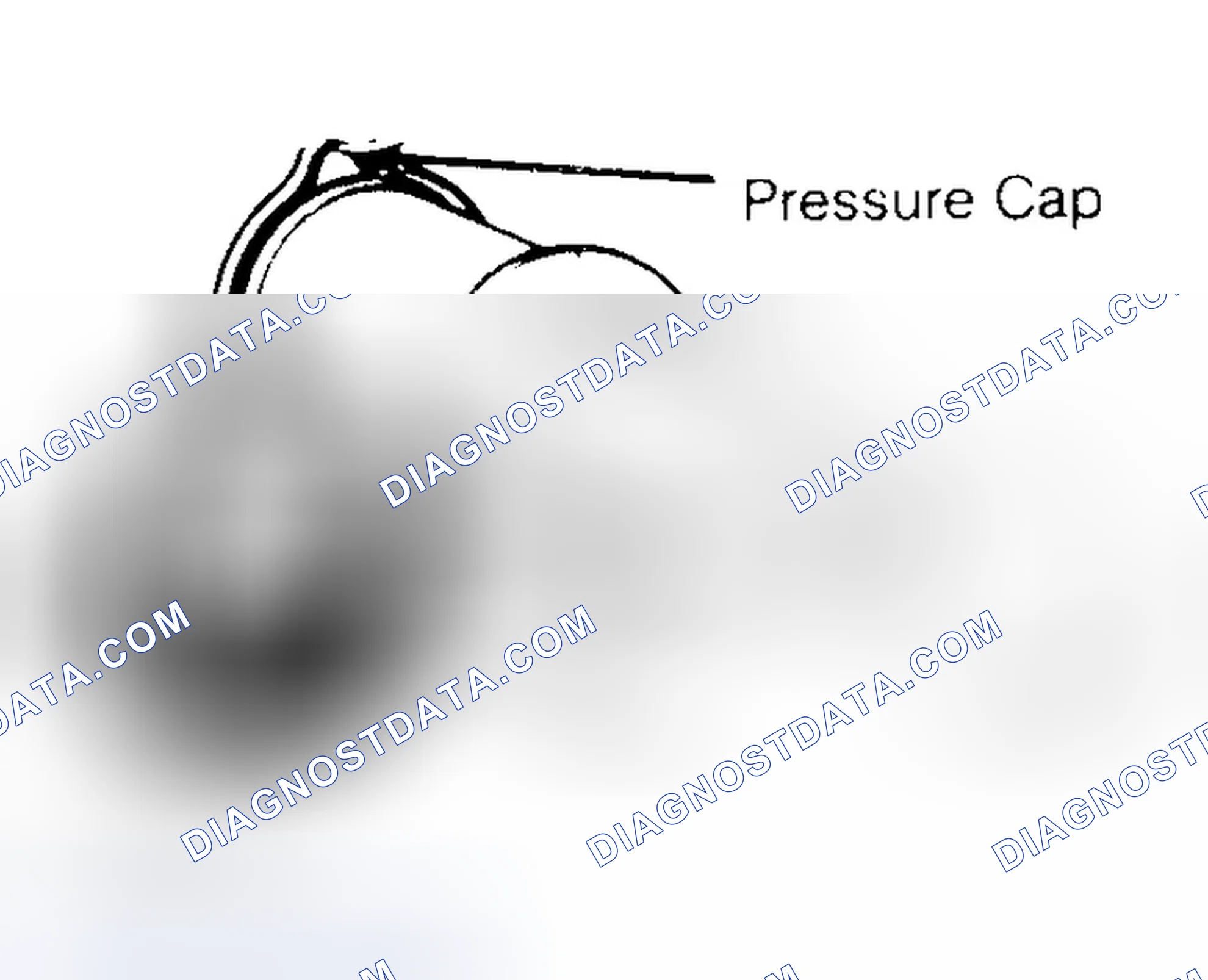 Scheme 2: Pressure Testing Radiator Cap