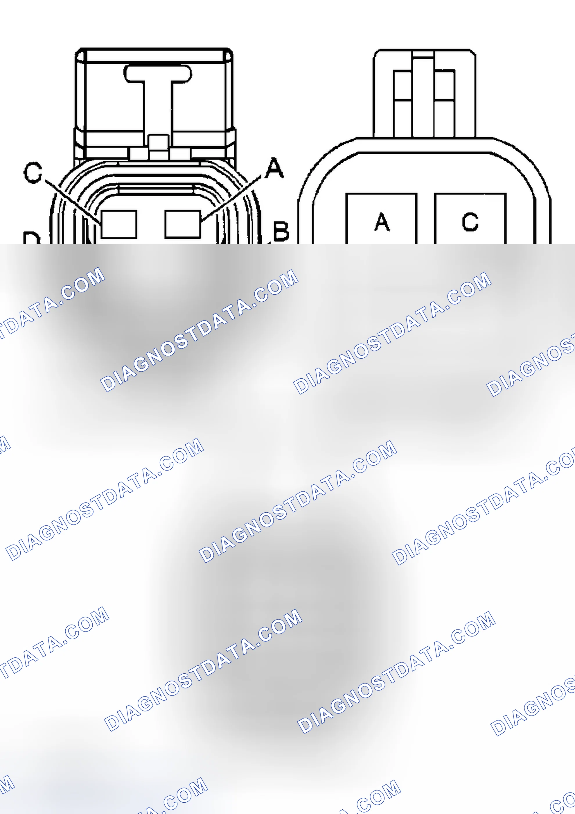 Scheme 2: Diagnostic Procedures