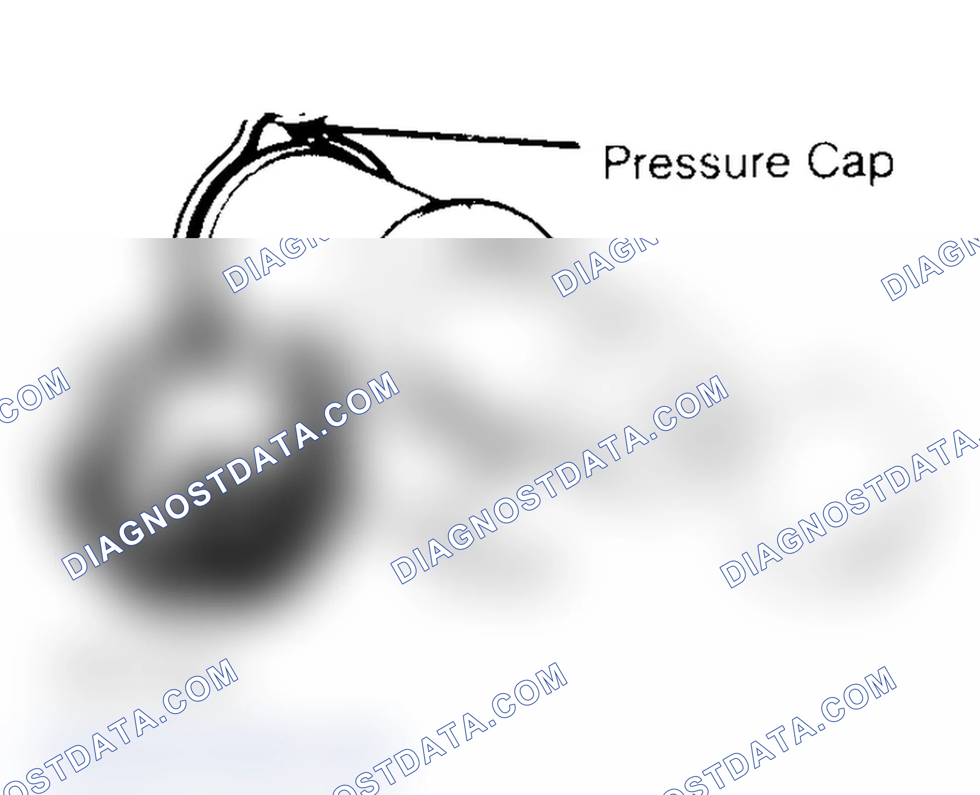Scheme 2: Pressure Testing Radiator Cap