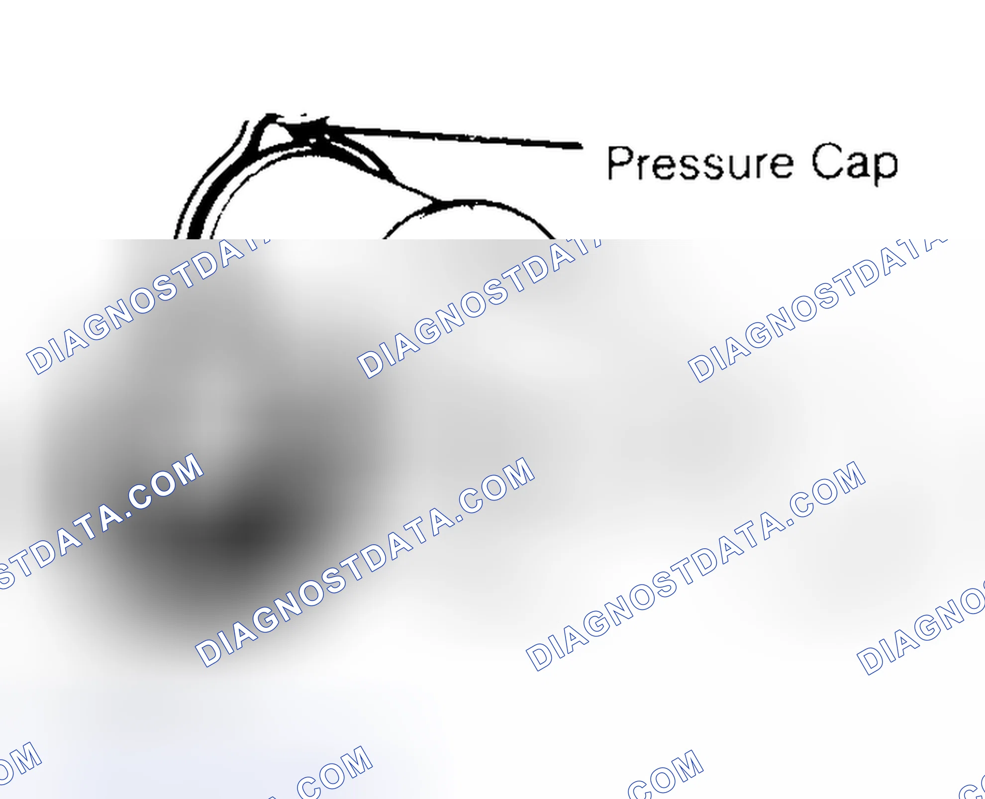 Scheme 2: Pressure Testing Radiator Cap