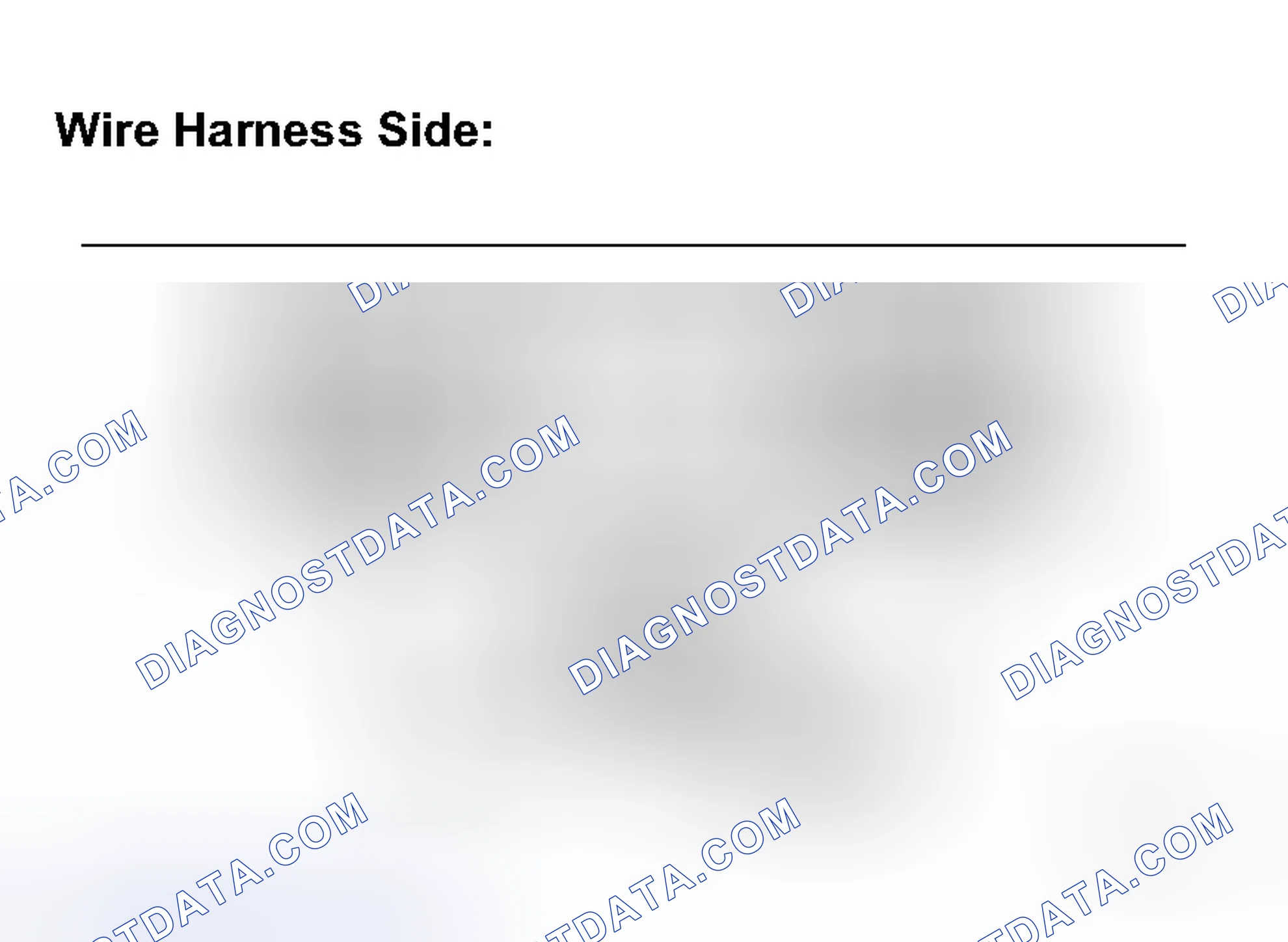 Scheme 73: INSPECTION PROCEDURE