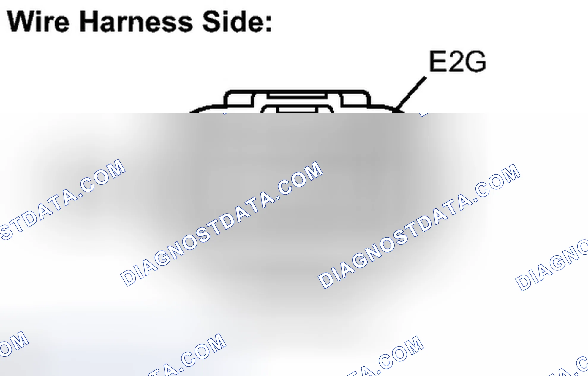 Scheme 481