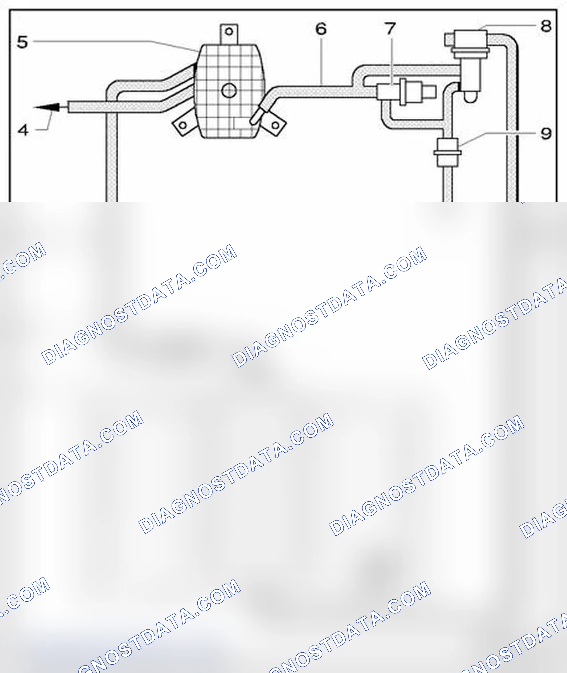 Scheme 91: Evaporative emissions (EVAP) system with leak detection system, vehicles with 8-cyl. engine, hose ro
