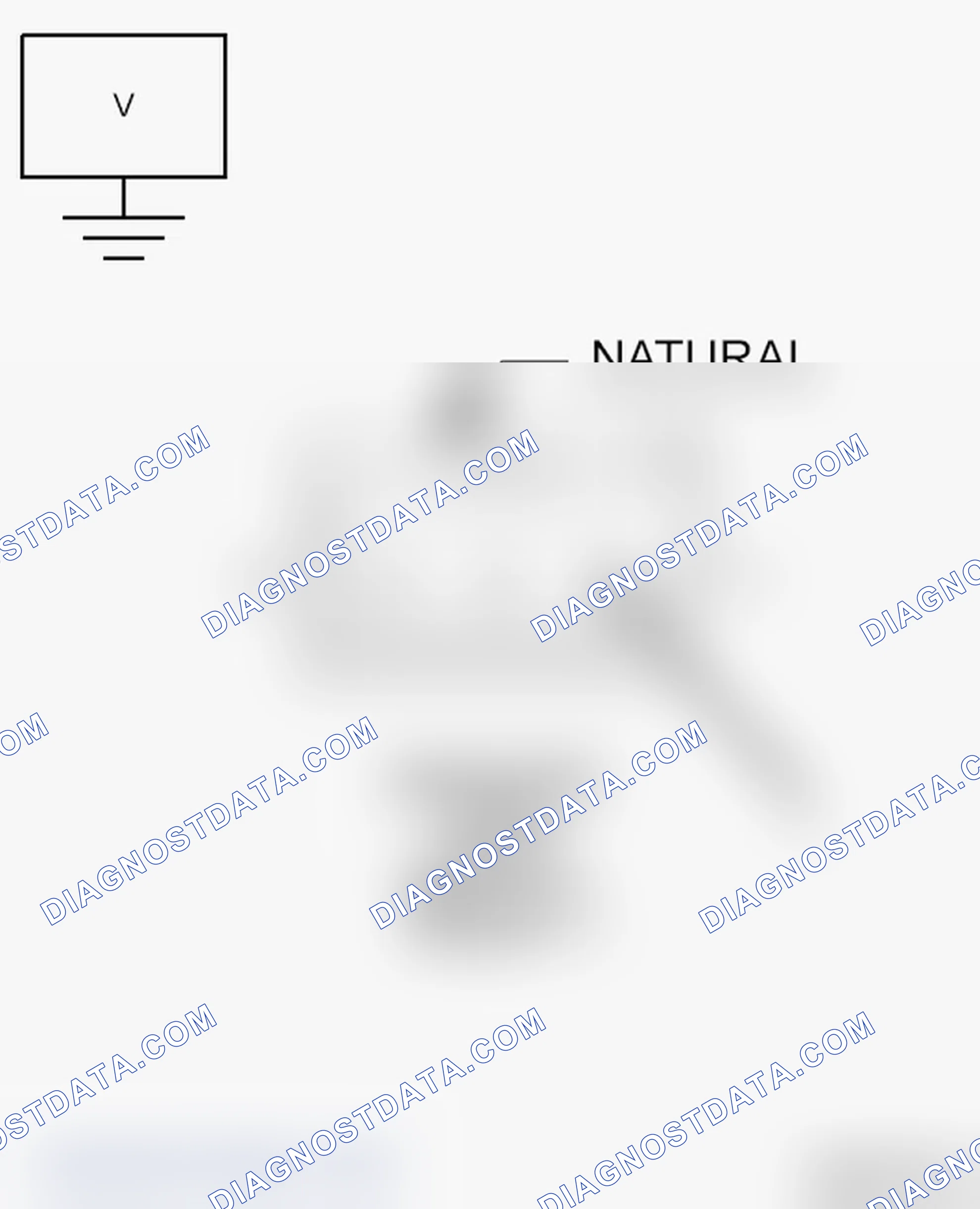 Scheme 207