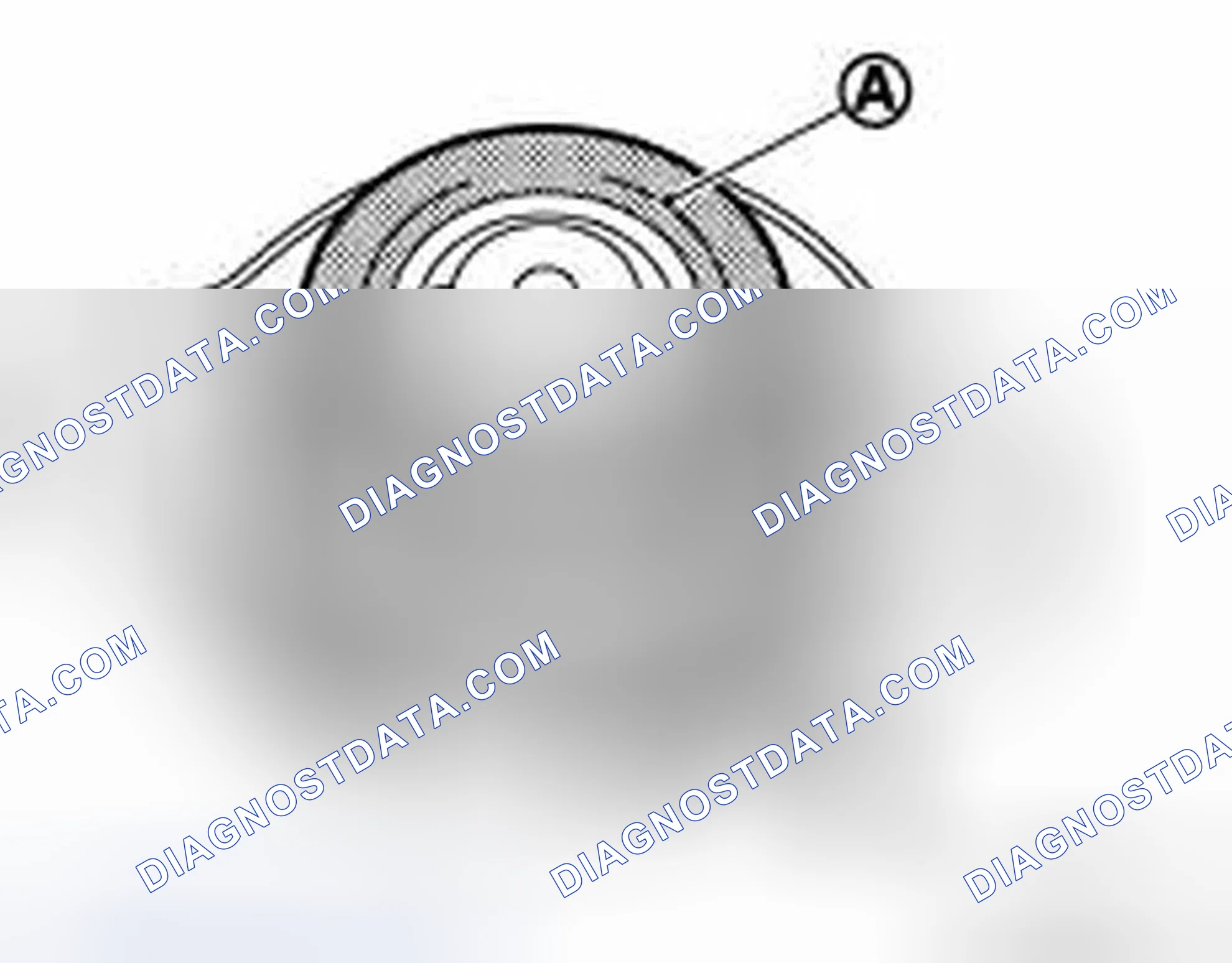 Scheme 24: RADIATOR CAP : Inspection