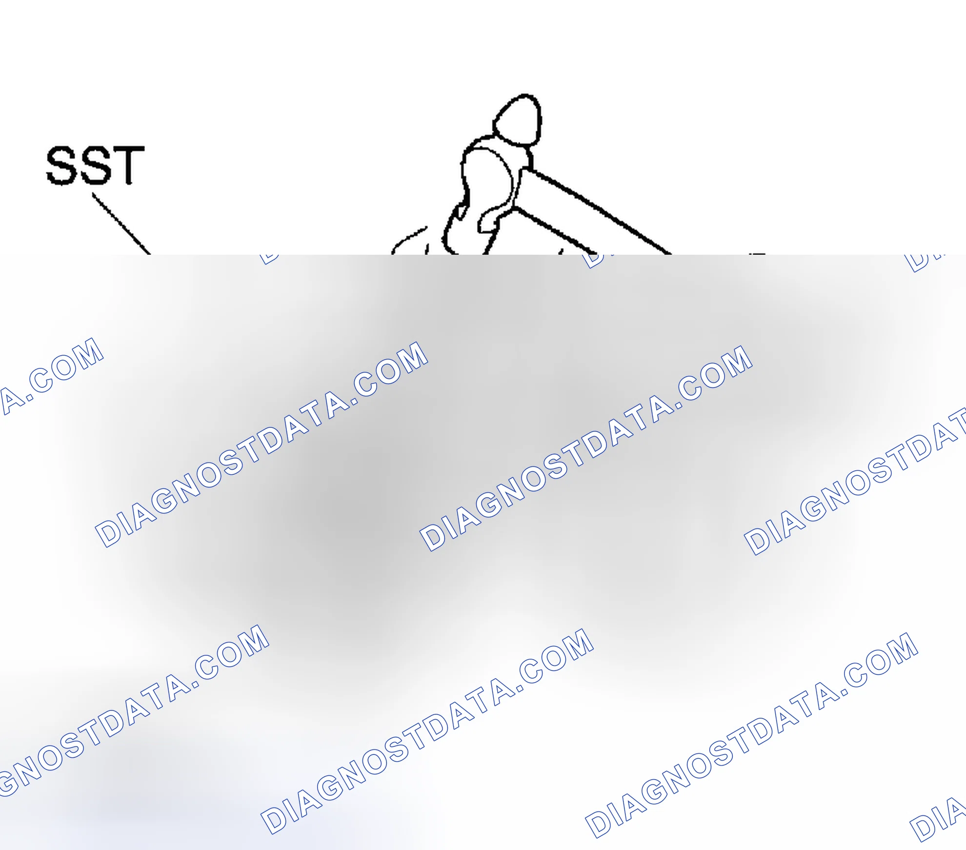 Scheme 145